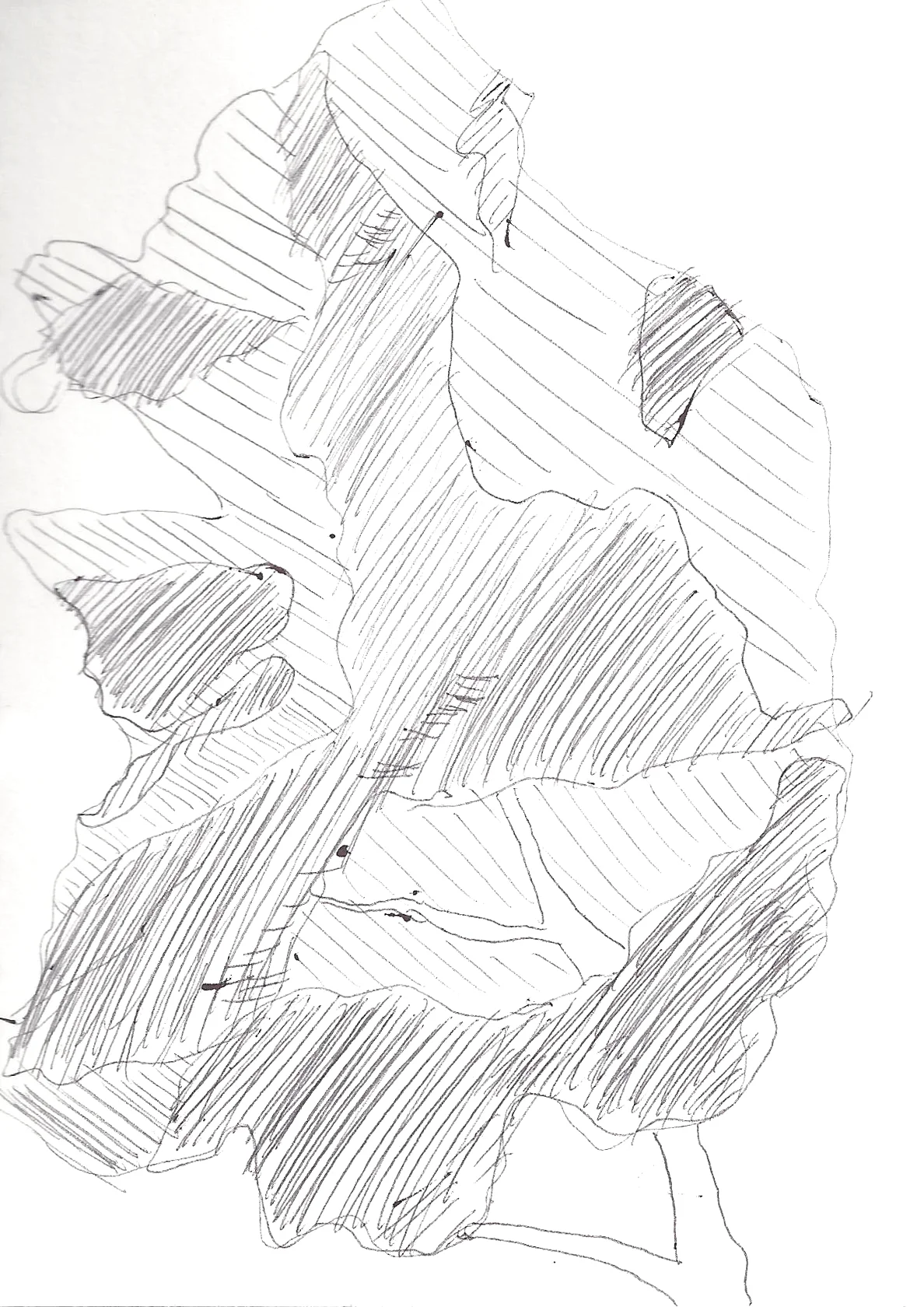 retiro tree1.jpg