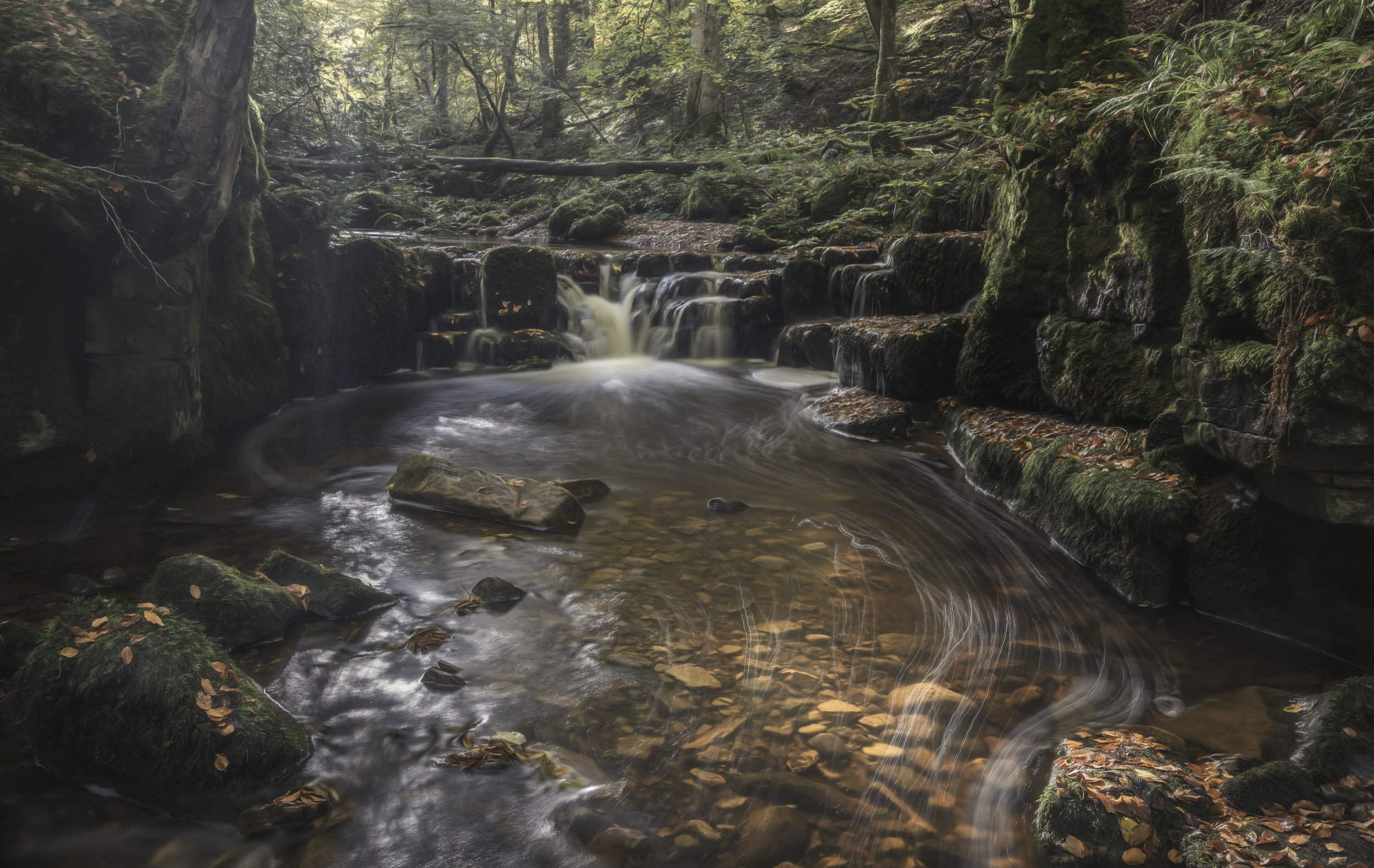 fine art giclee landscape print of a woodland waterfall near allenbanks northumberland