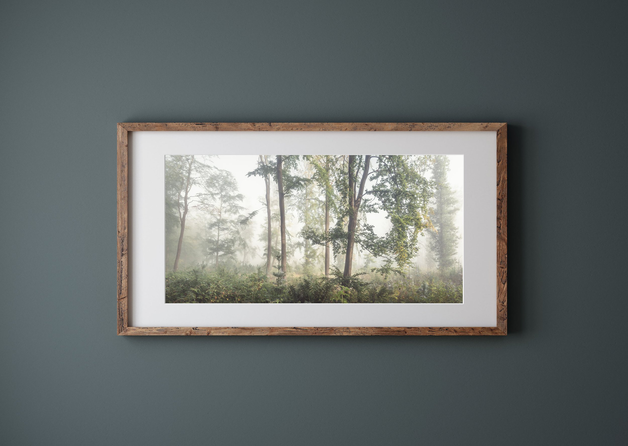 Framed fine art giclee landscape print of misty woodland near Hexham Northumberland