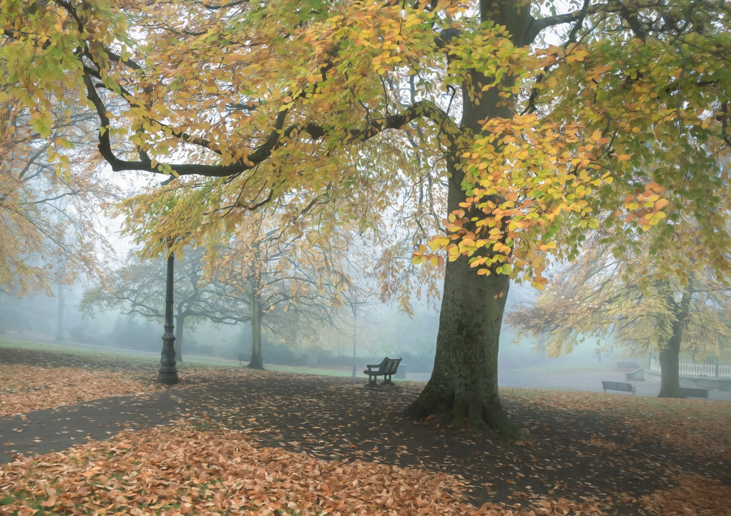 November