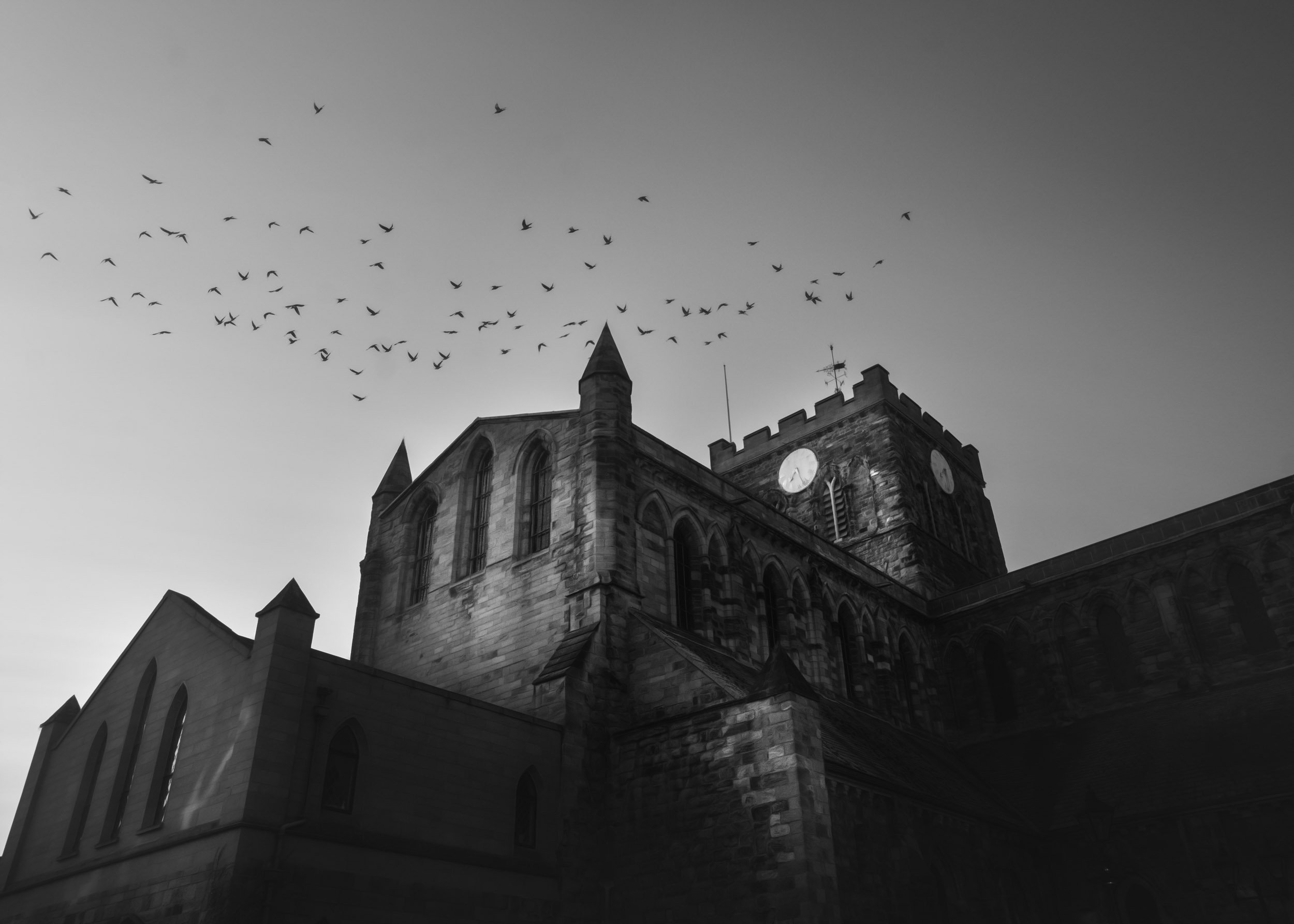 Hexham Abbey, Northumberland: a black and white photo of a church with birds in flight