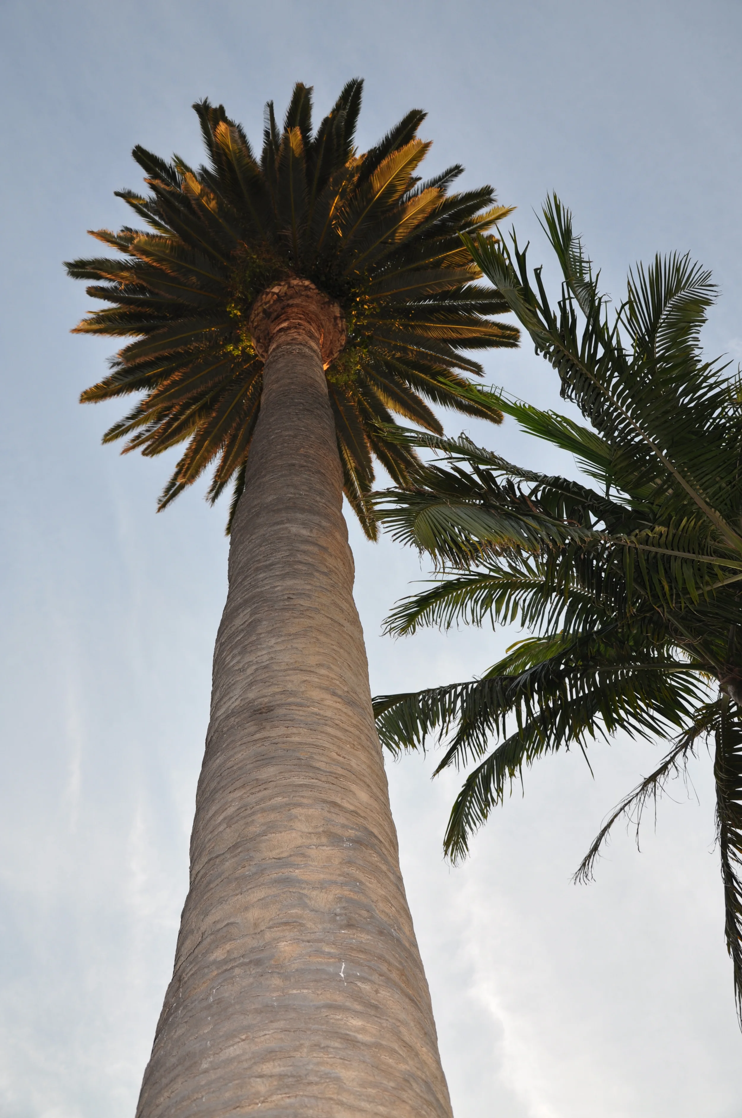 Copy of DSC_0432.JPG