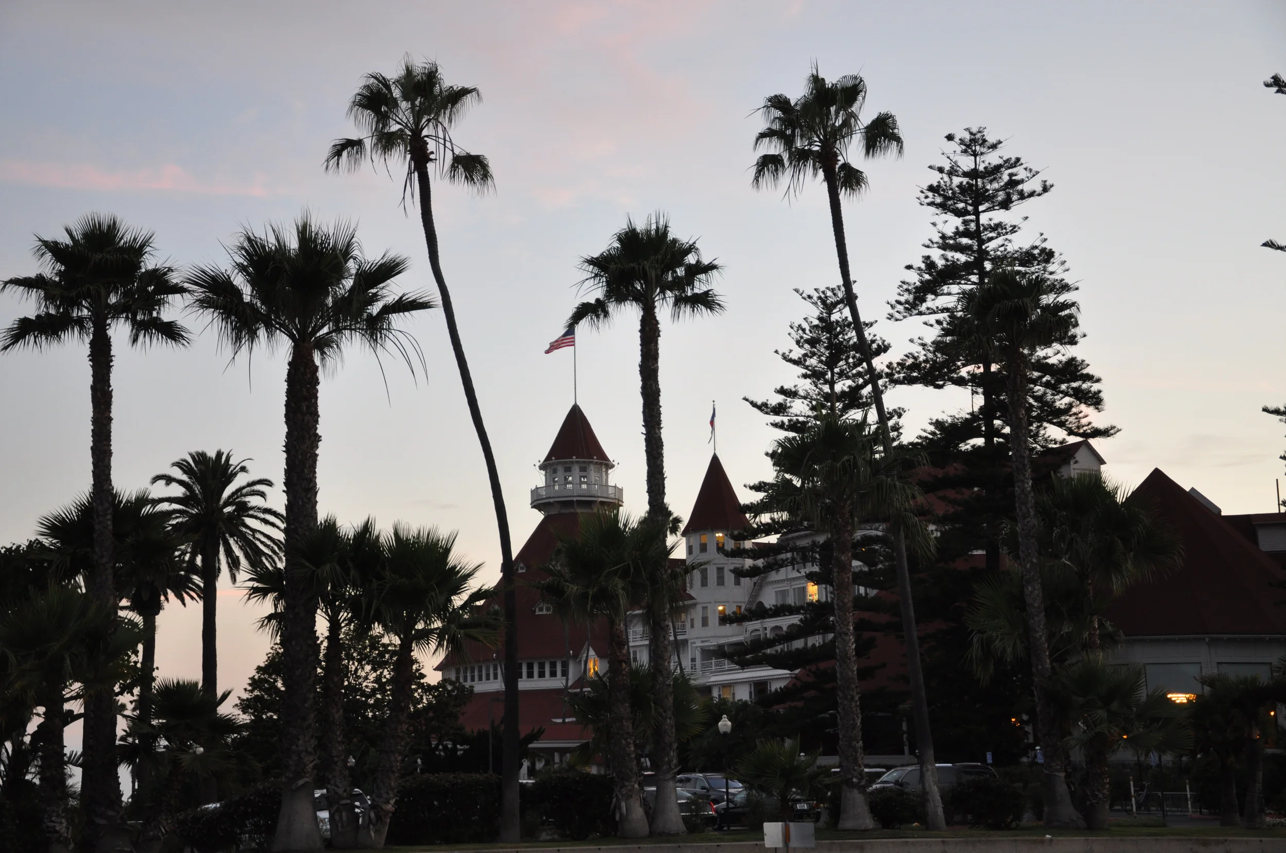 Copy of DSC_0474.JPG