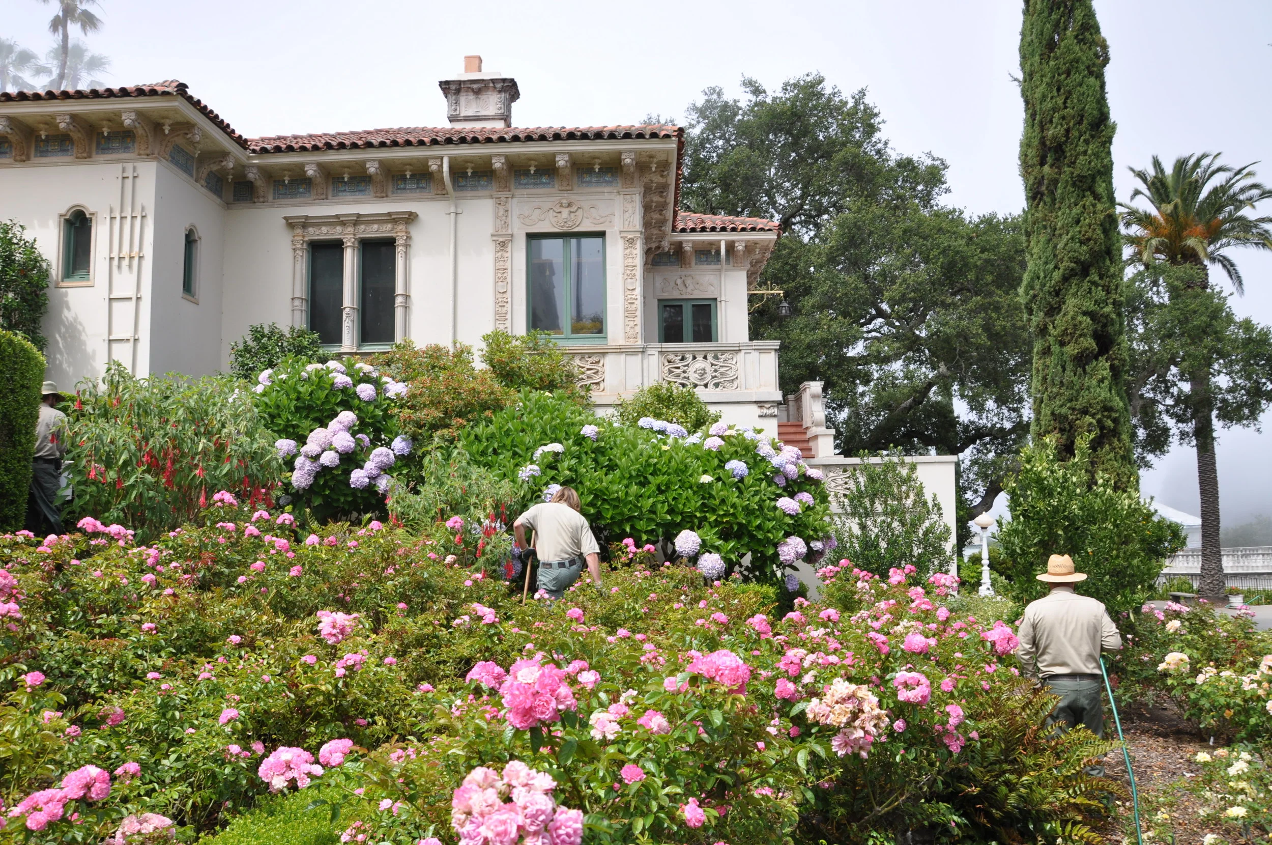 Copy (2) of DSC_0786.JPG