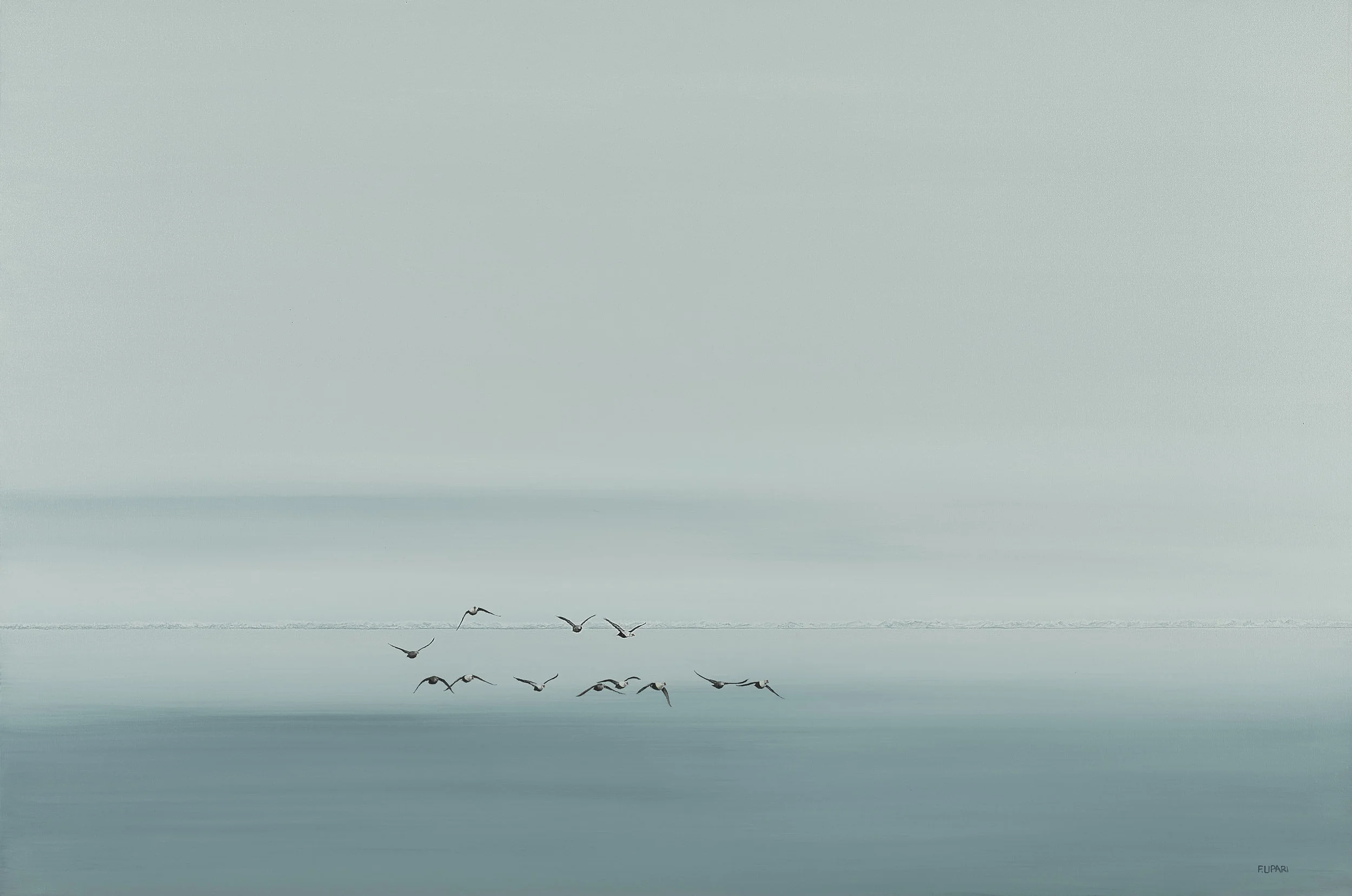 King Eiders | 2016, 60 x 40 acrylic on canvas. A group of King Eiders flying towards me. I can hear the air hissing over their wings as they approach. The air is cold and crisp. This is the Canadian High Arctic.
