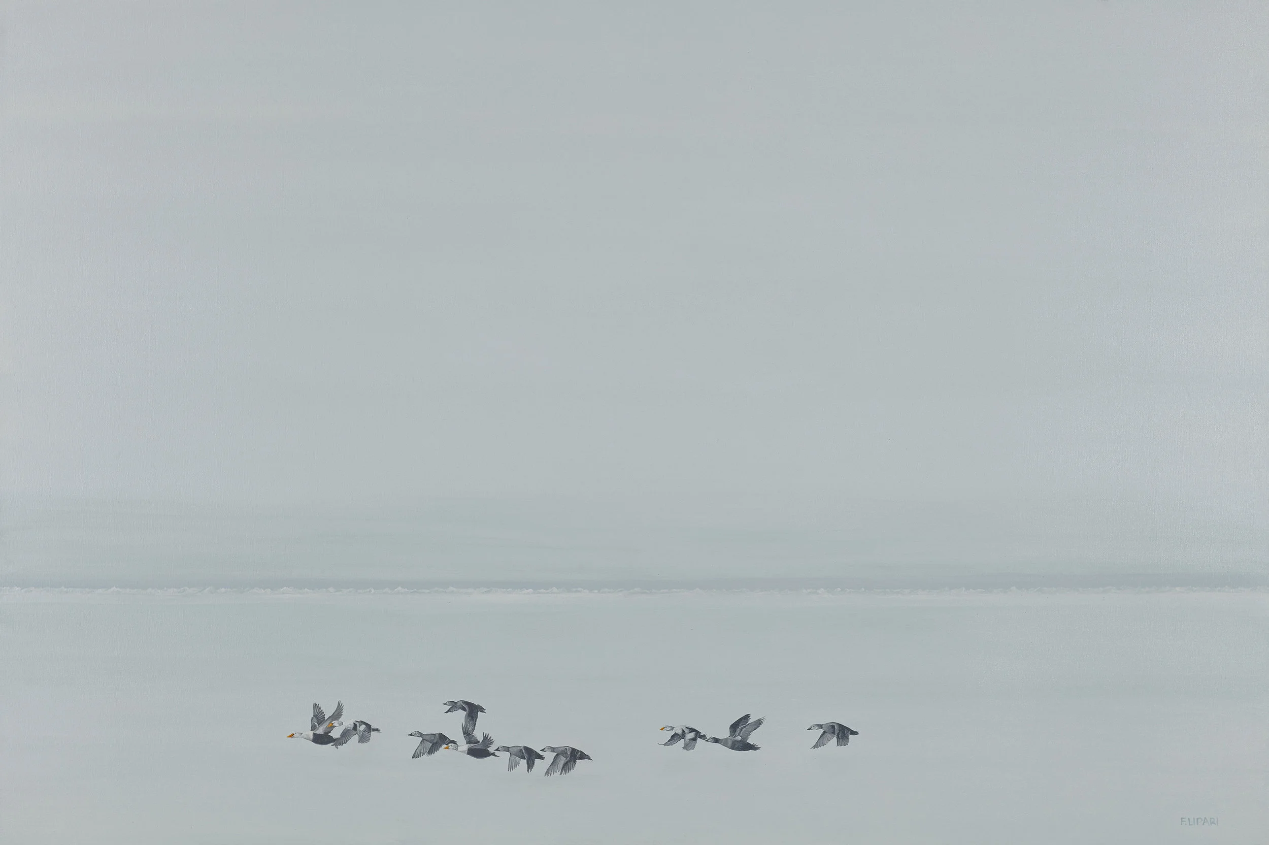   Eiders Landing  | 2017, 60 x 40 acrylic on canvas.  