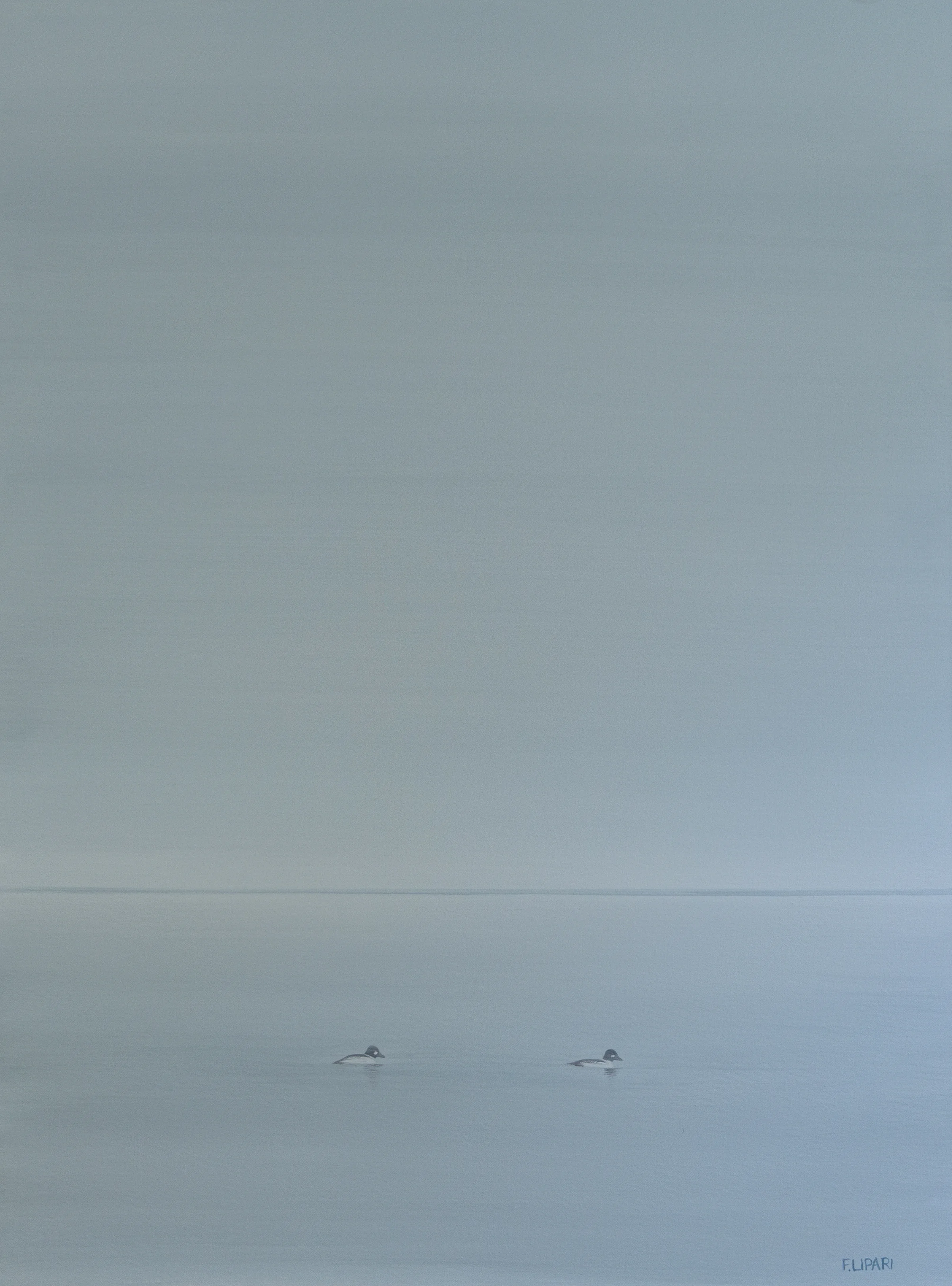 Wintering Drakes | 2018, 30 x 40 acrylic on canvas.