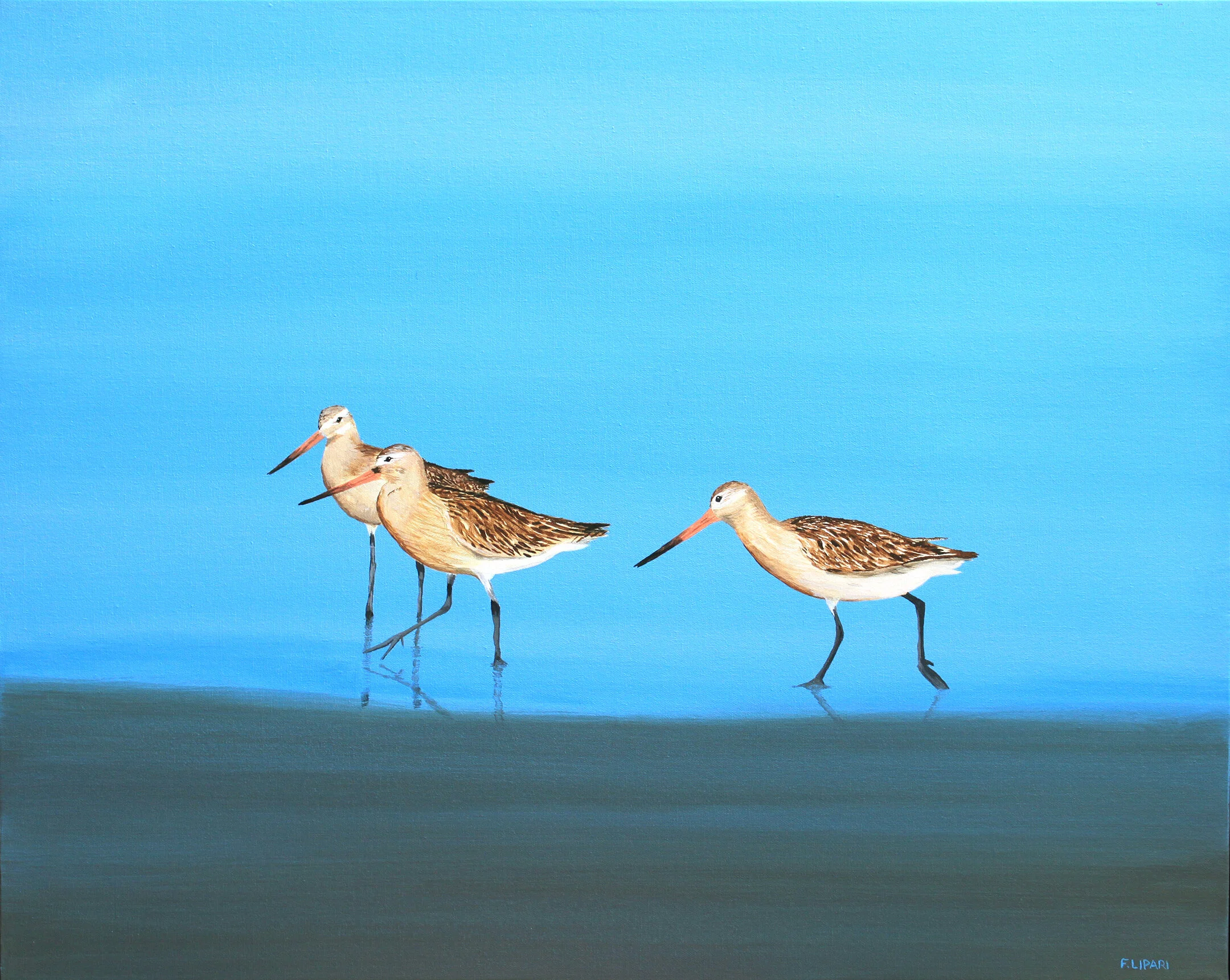   Early Birds  | 2015, 30 x 40 acrylic on canvas. 