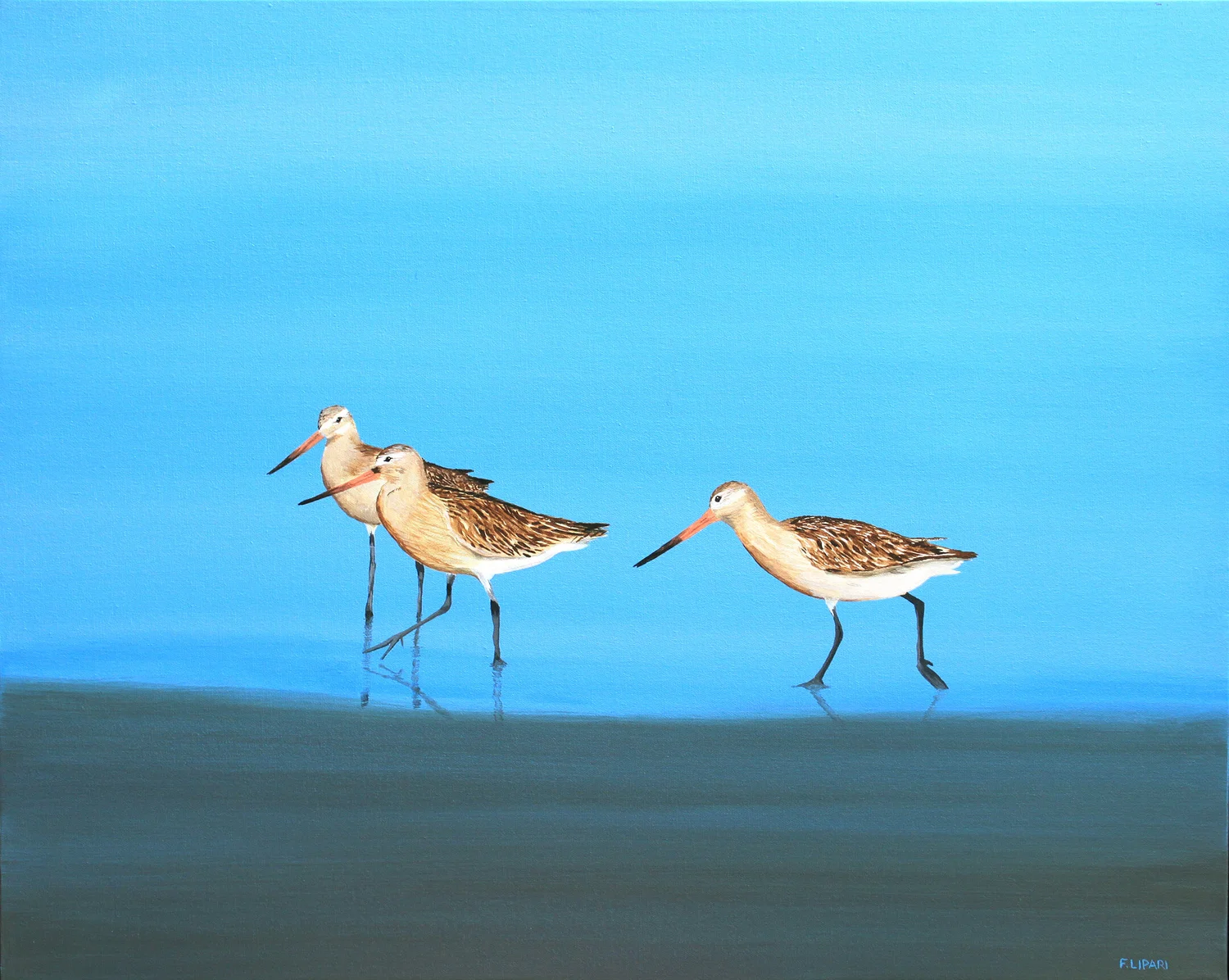 F.LIPARI | Canadian artist — f.lipari | Canadian artist