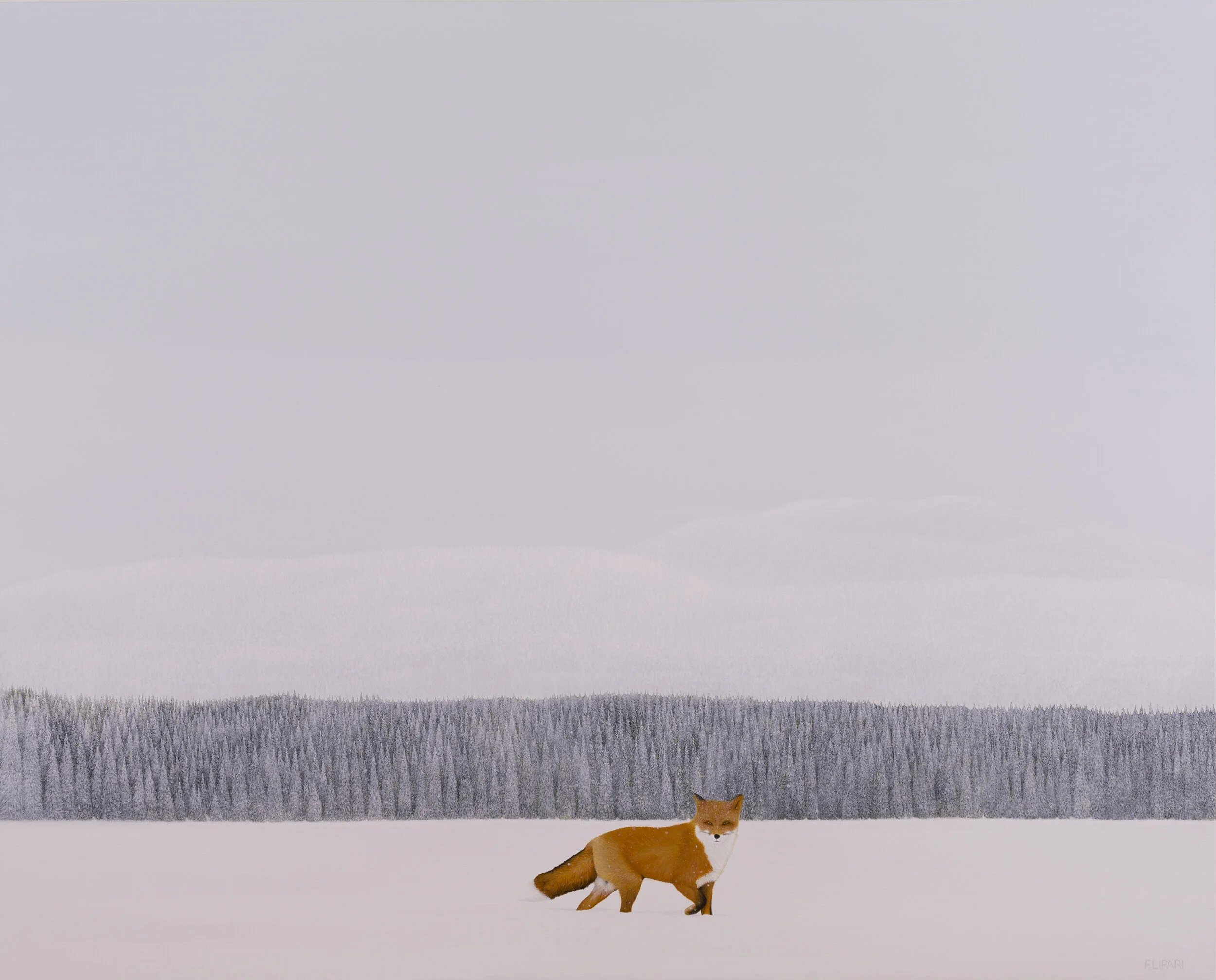   Mr. Fox  |  2021, 48  x 60 acrylic on canvas  