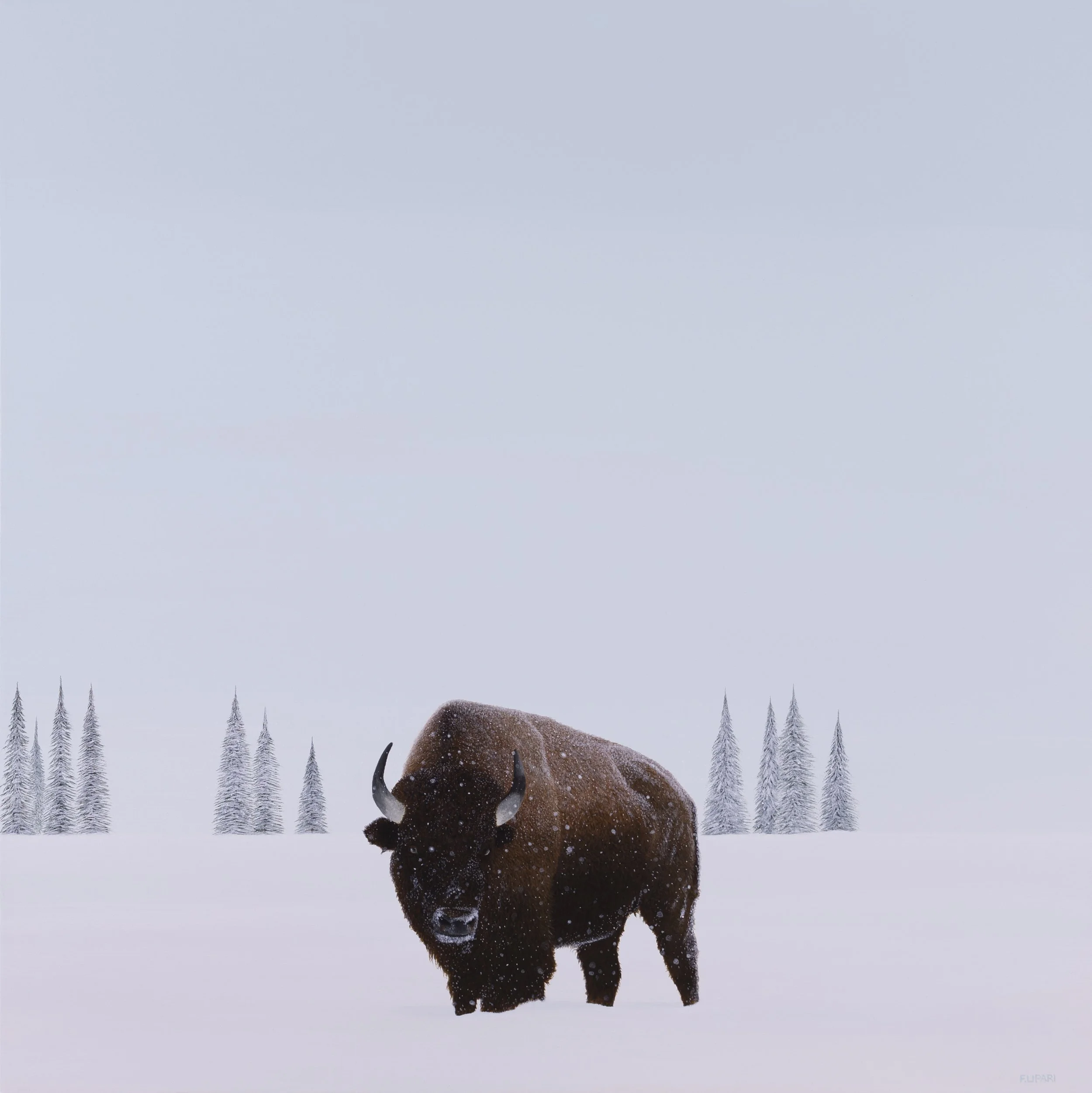   Bison  | 2021, 40 x 40 acrylic on canvas 