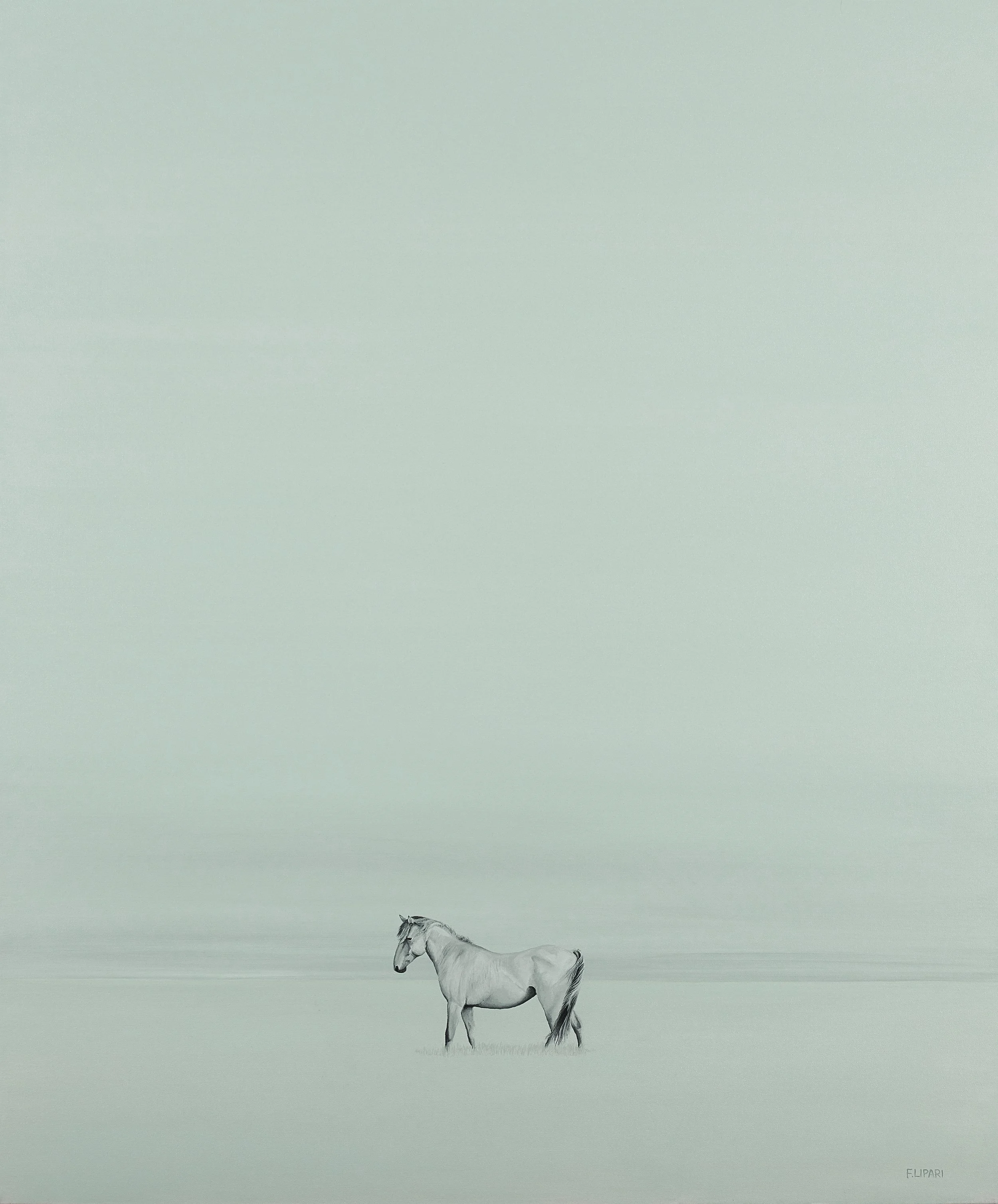   Wild Horse  | 2019, acrylic on canvas 