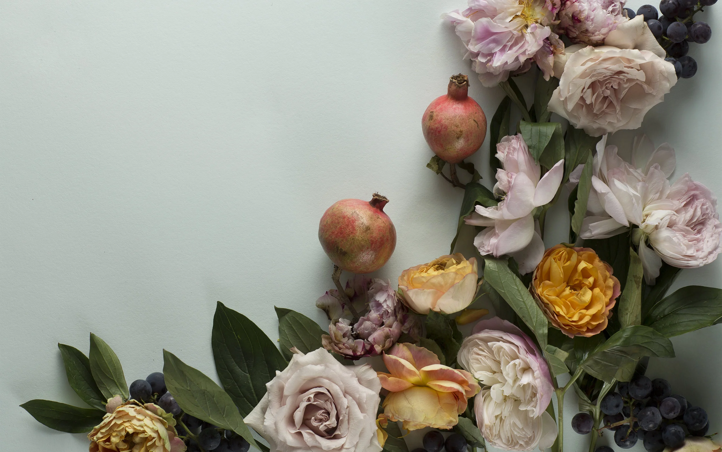 Photographed for Anthropologie