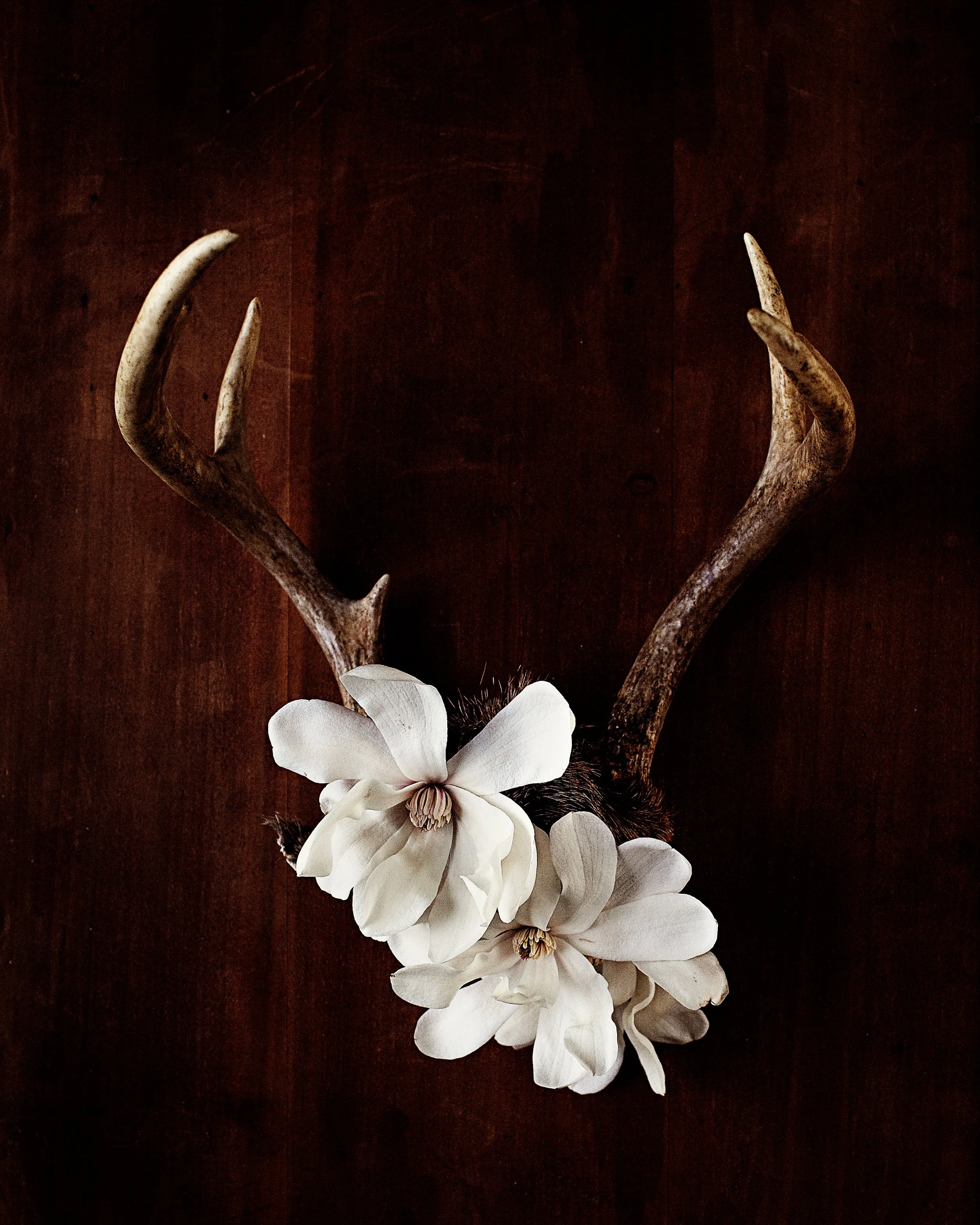 Etsy