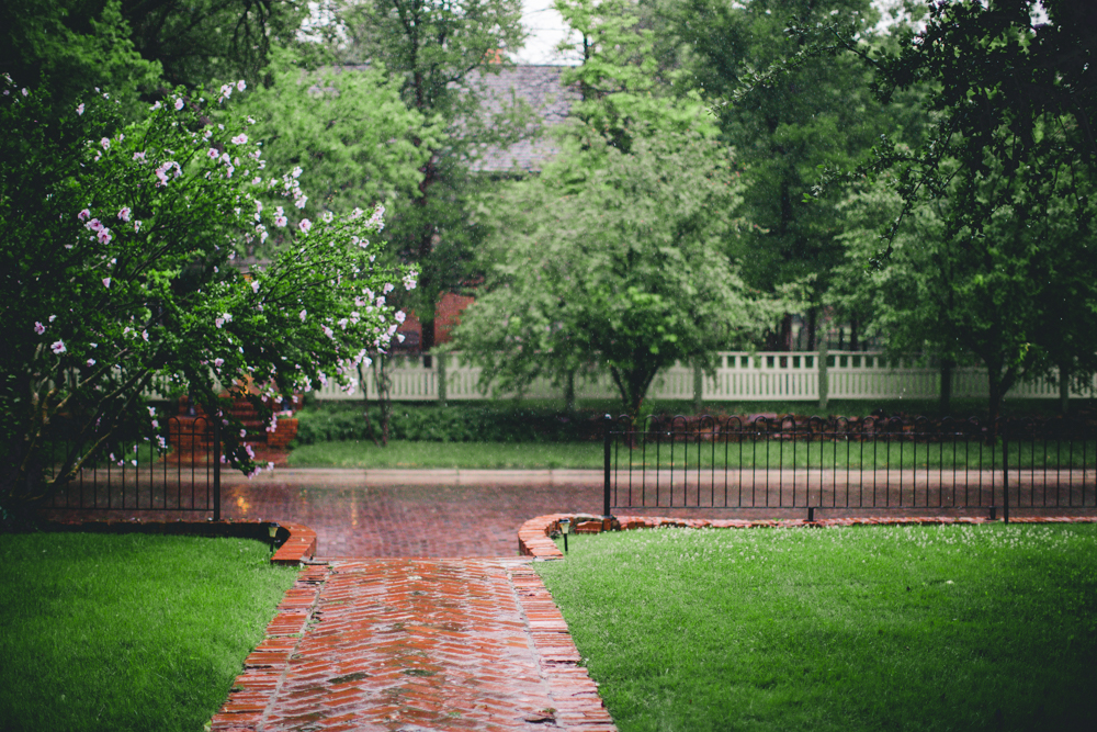 Rainy days are a perfect reminder to rest. 