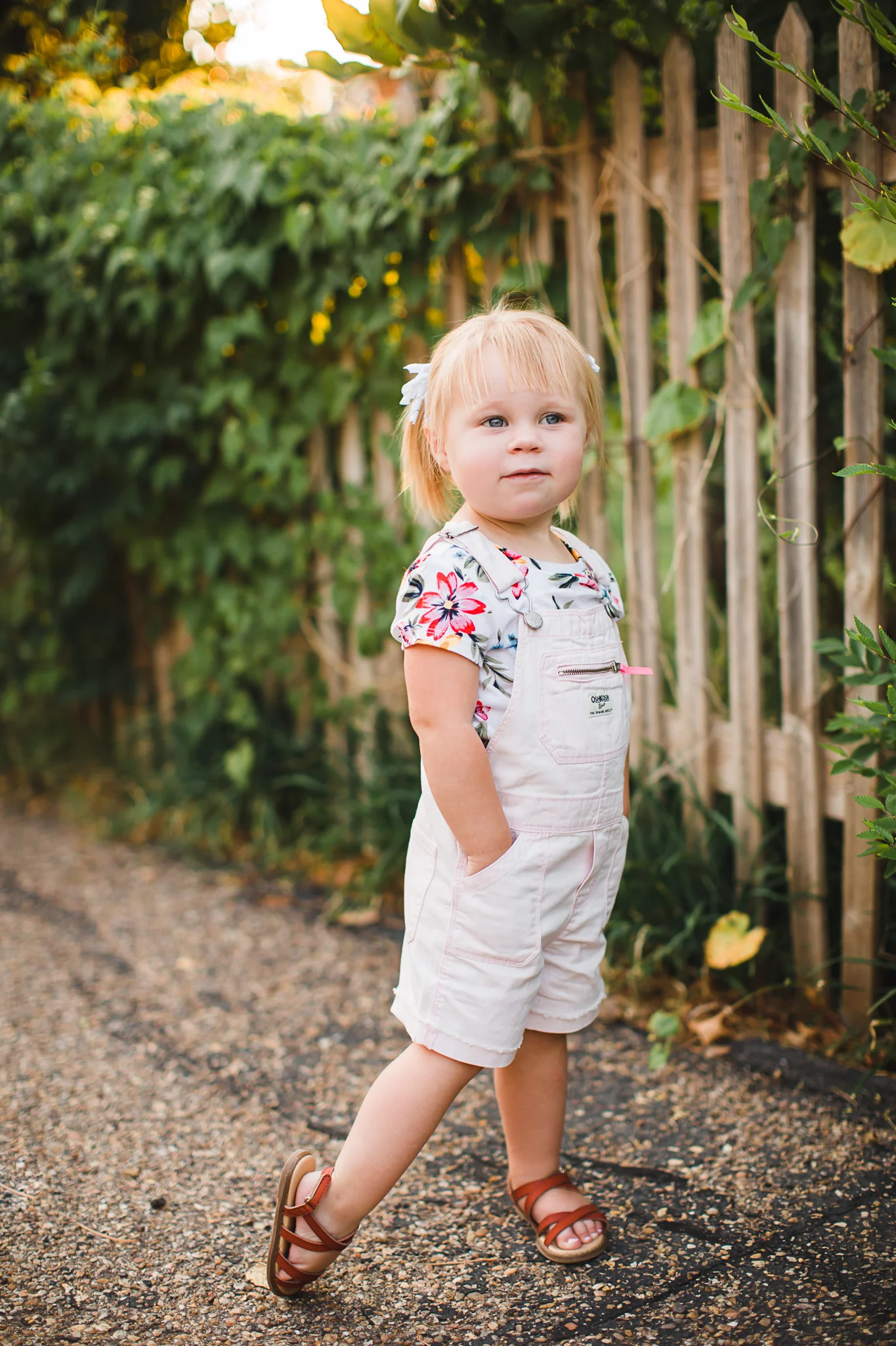 Harper | 2 Years Old Birthday Photos in Wolflin