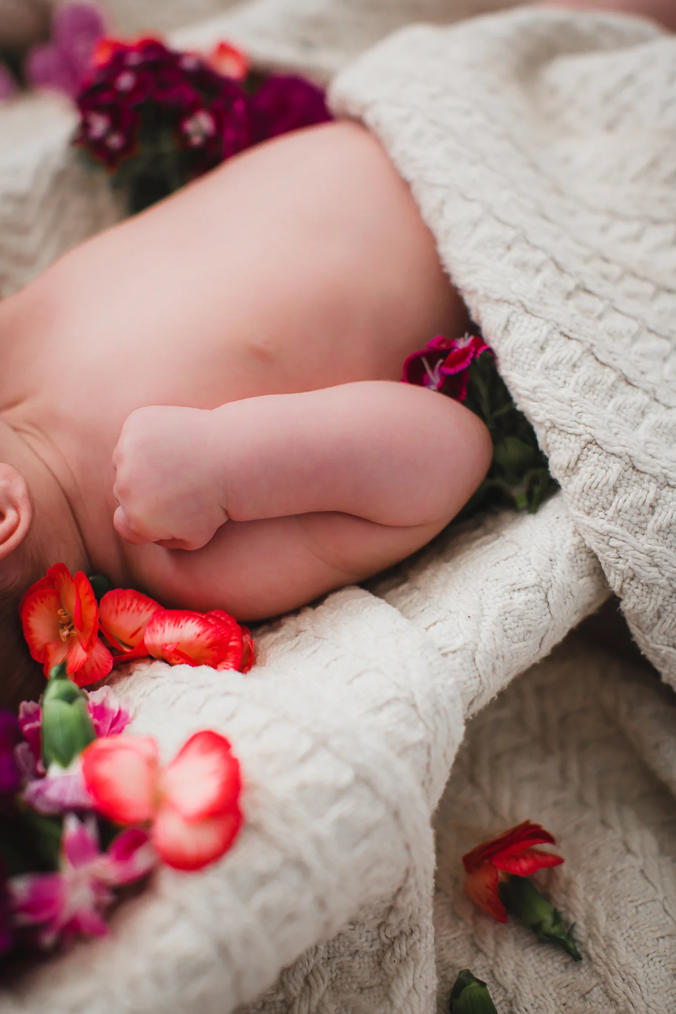 amarillo-newborn-photographer-3.jpg