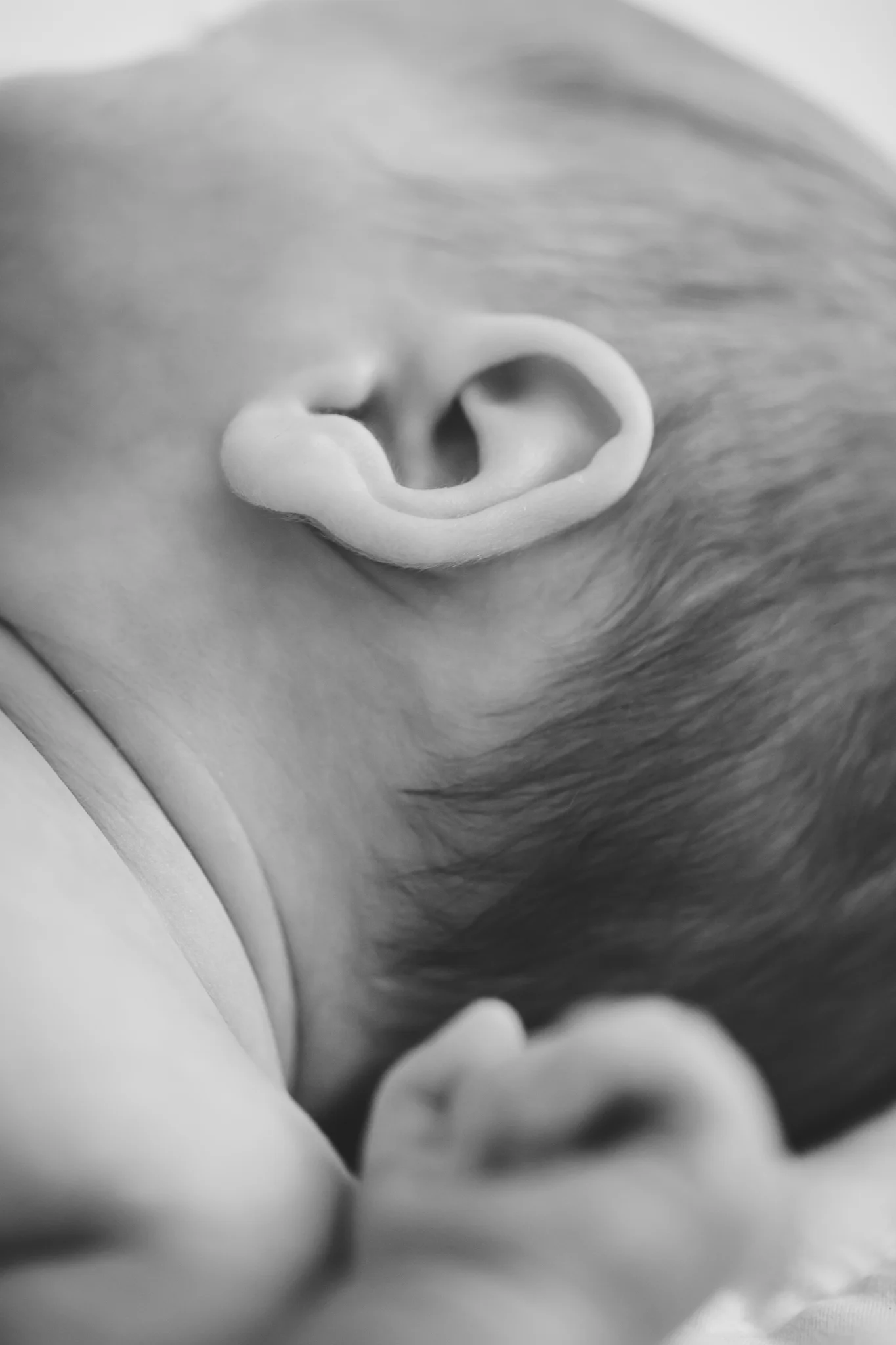 amarillo-newborn-photographer-27.jpg