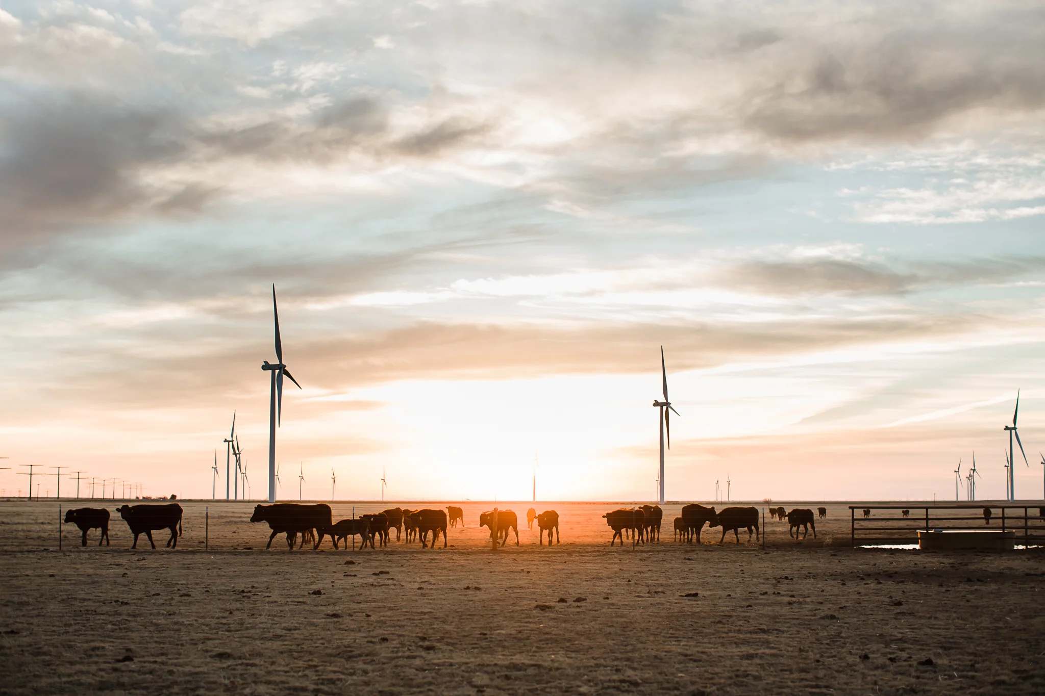 Farm-photographer-texas-1.jpg