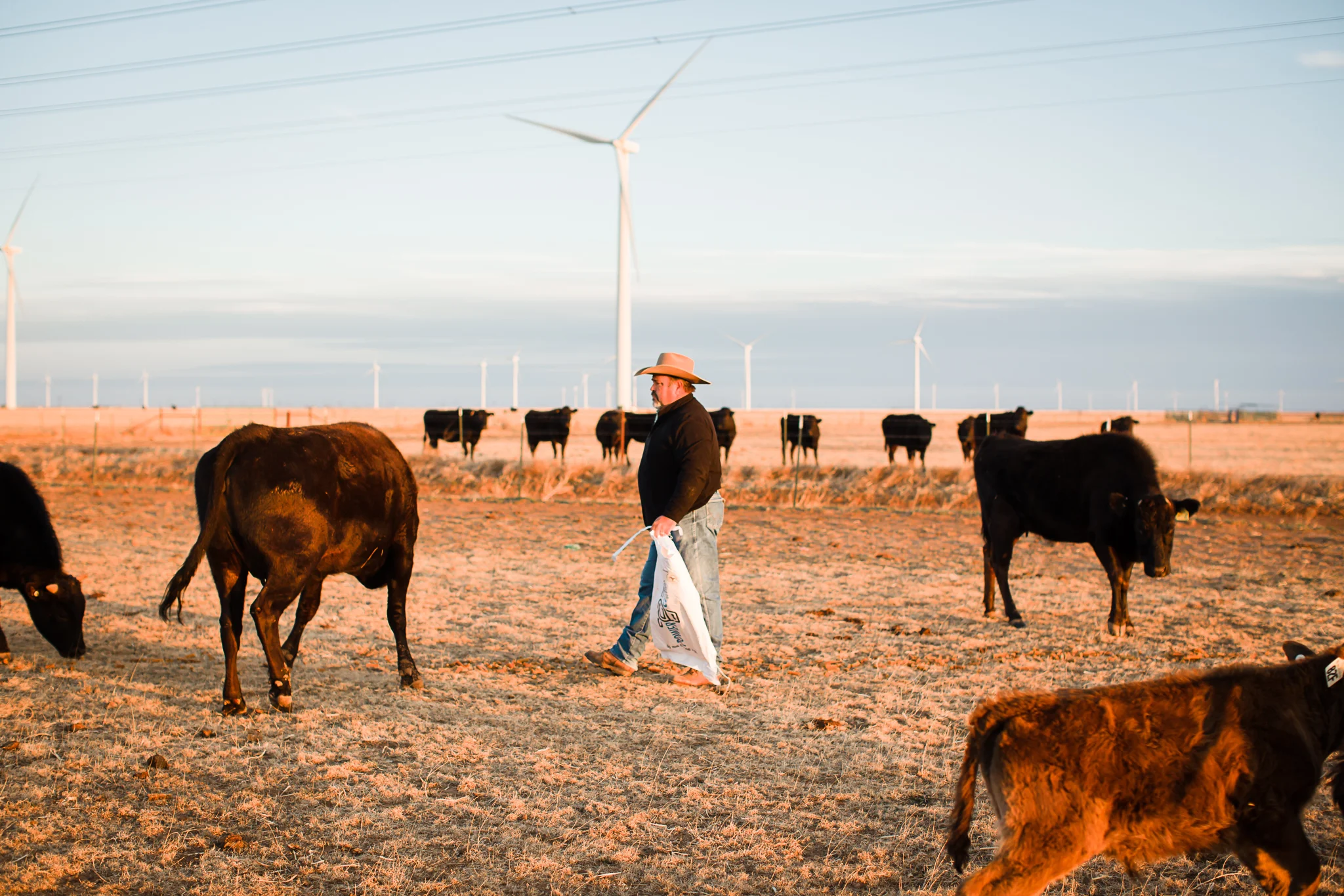 Farm-photographer-texas-7.jpg