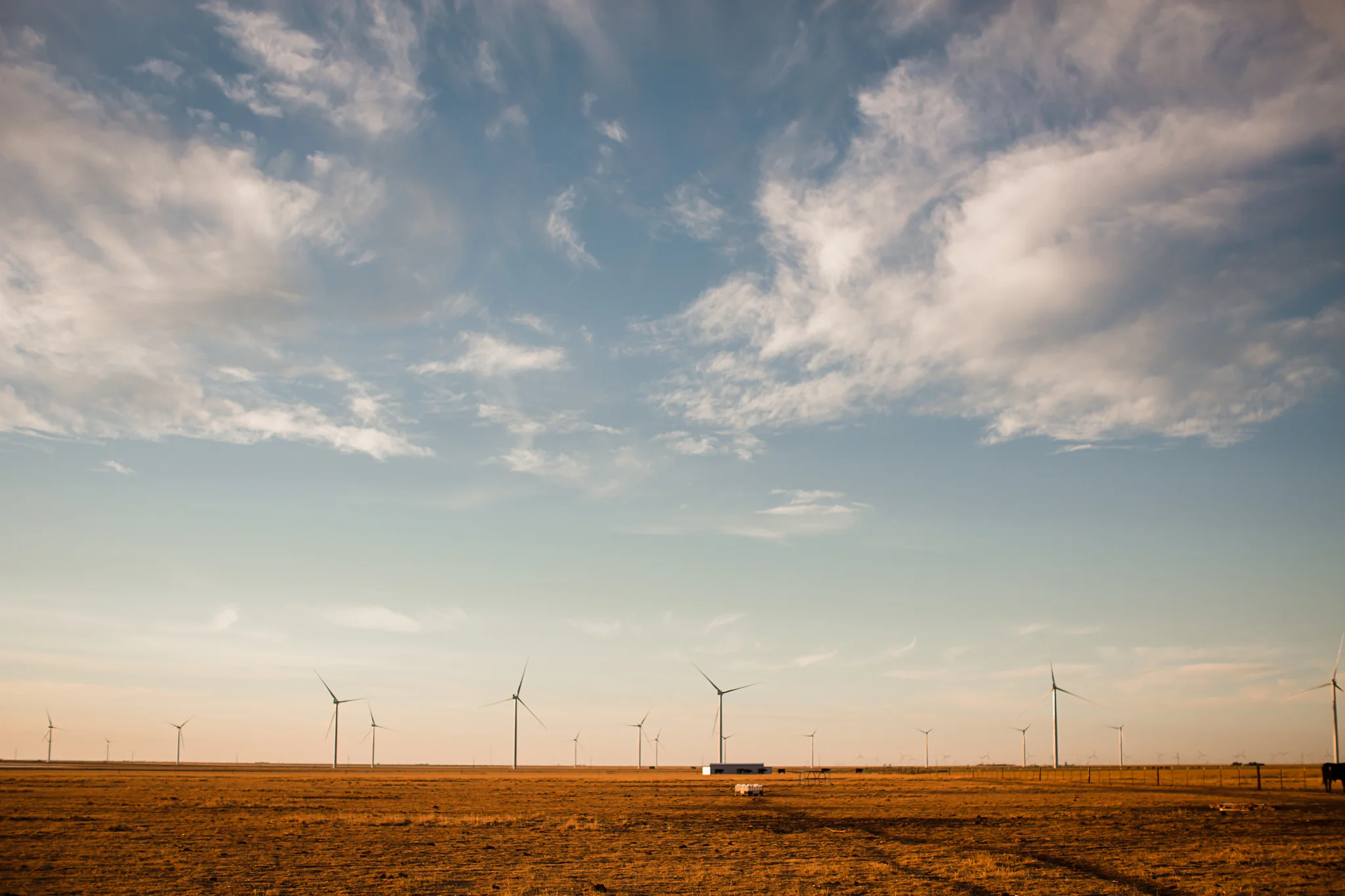 Farm-photographer-texas-12.jpg
