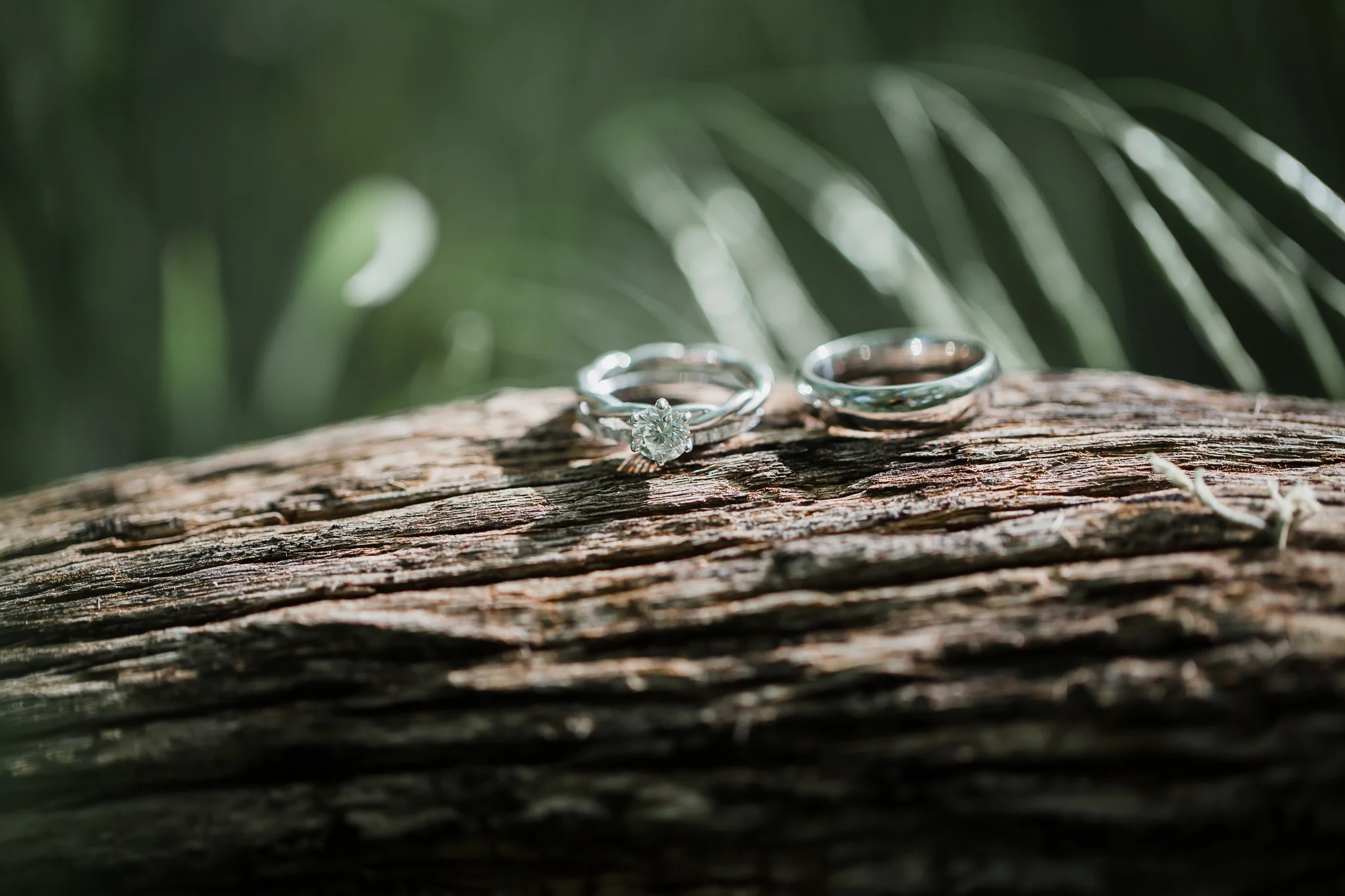lizzie and tony blog-54.jpg