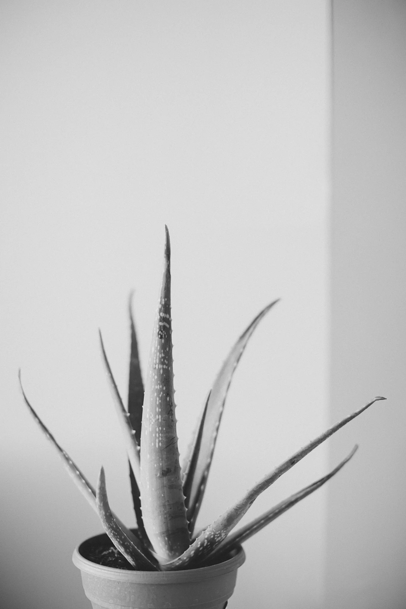 Studio-26.jpg