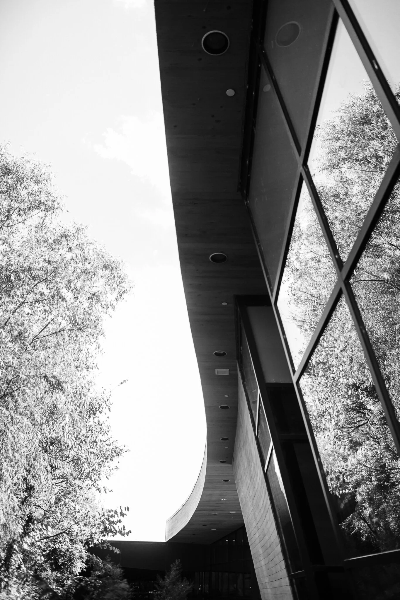 Potts wedding-7.jpg