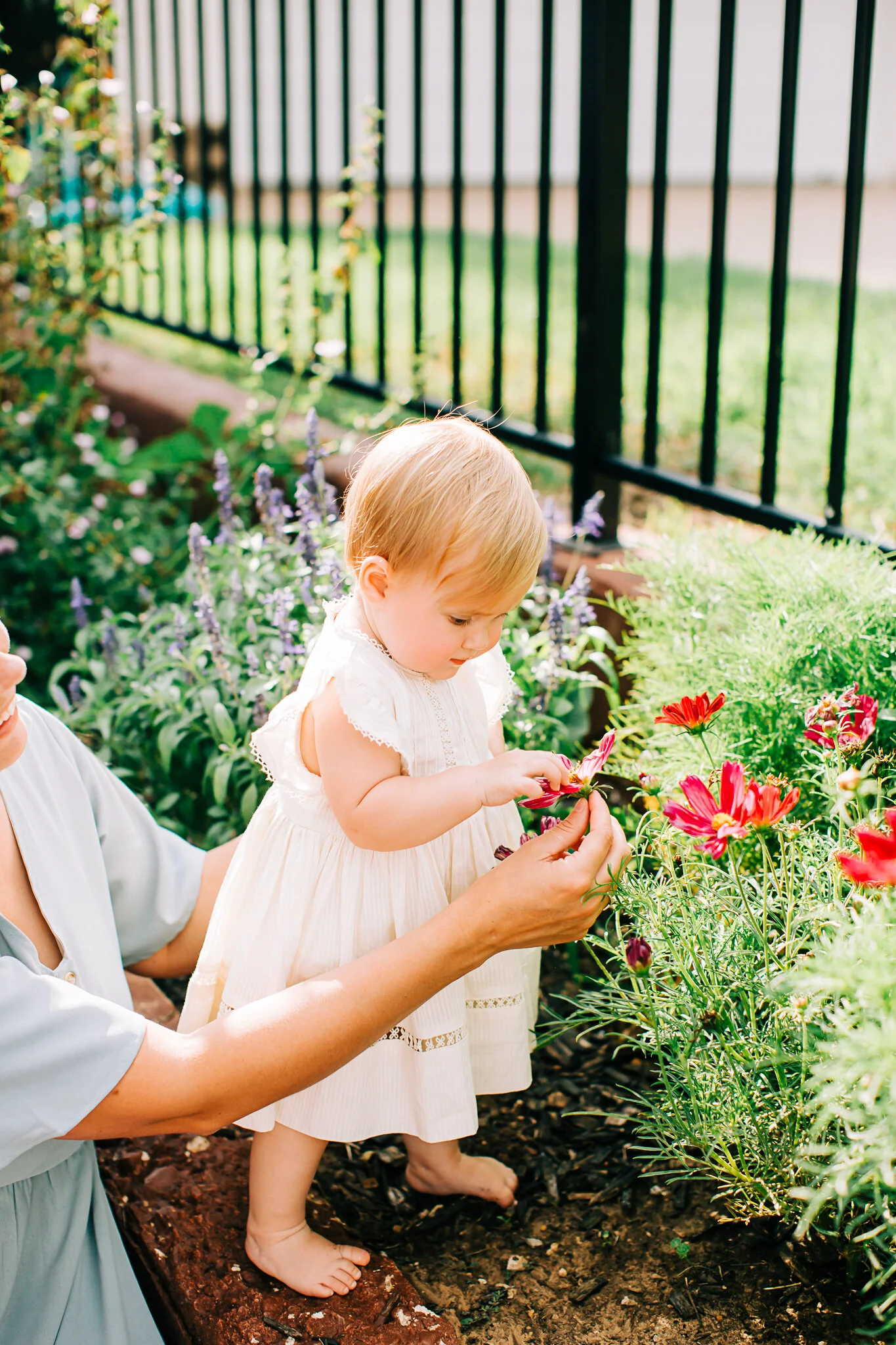 Cox family blog-15.jpg