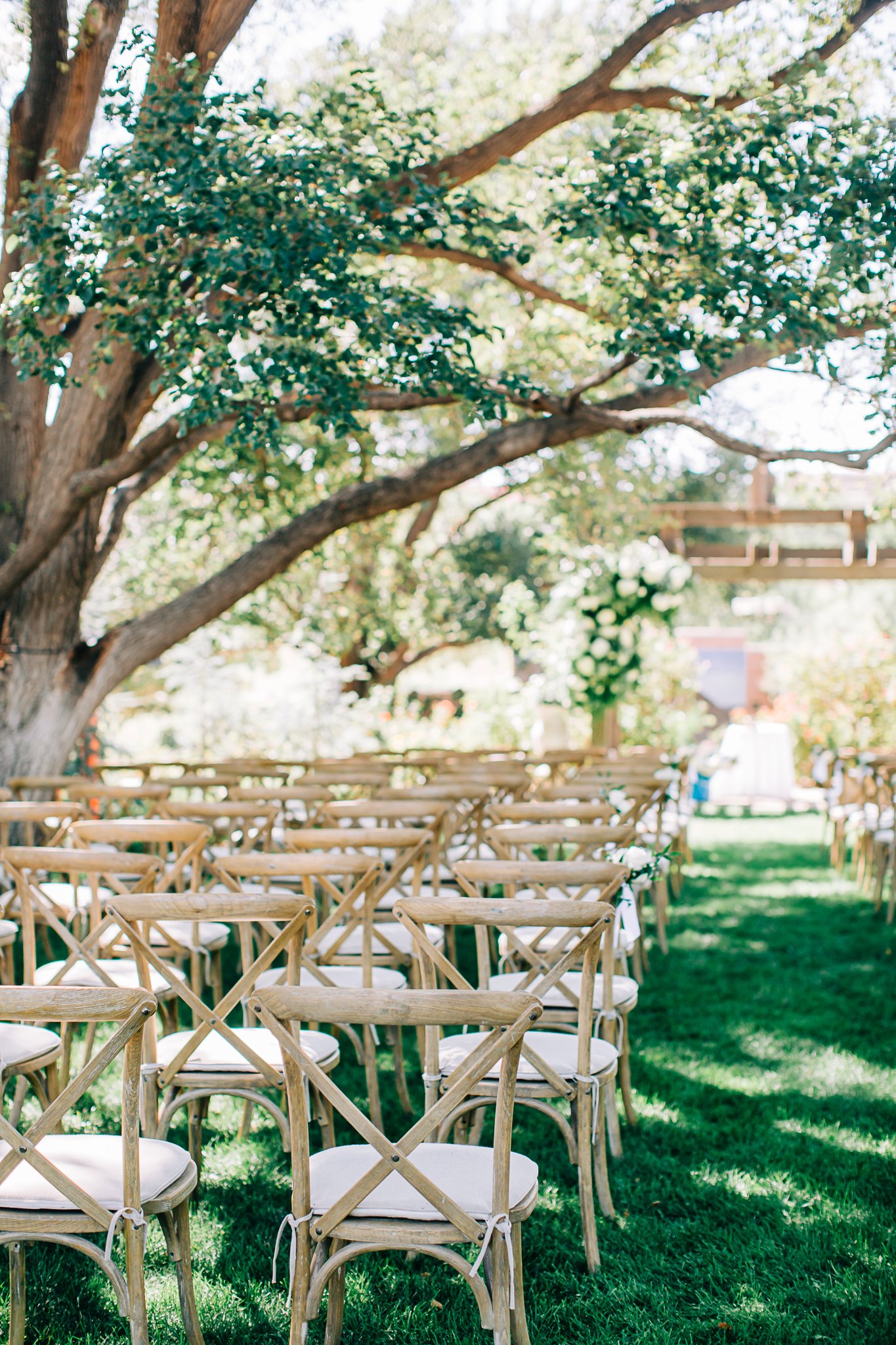 Amarillo-wedding-photographer-8.jpg