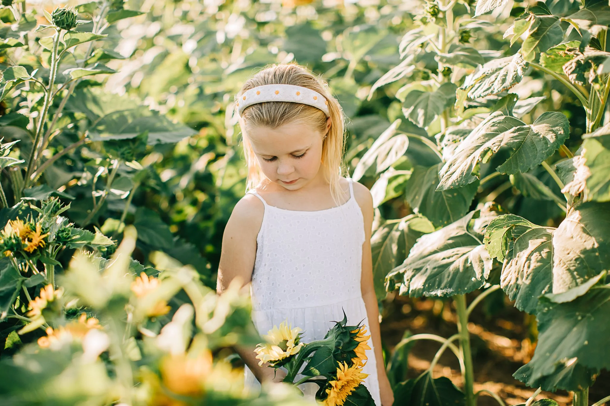 The Cawthon's | Family Photos in Maxwell's Sunflower Field