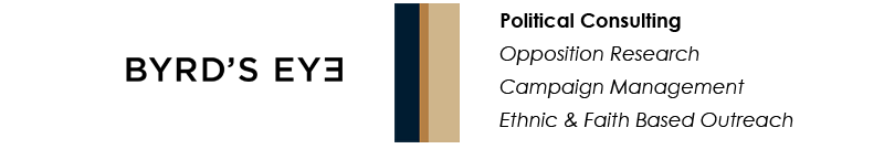 Political Consulting Graphic