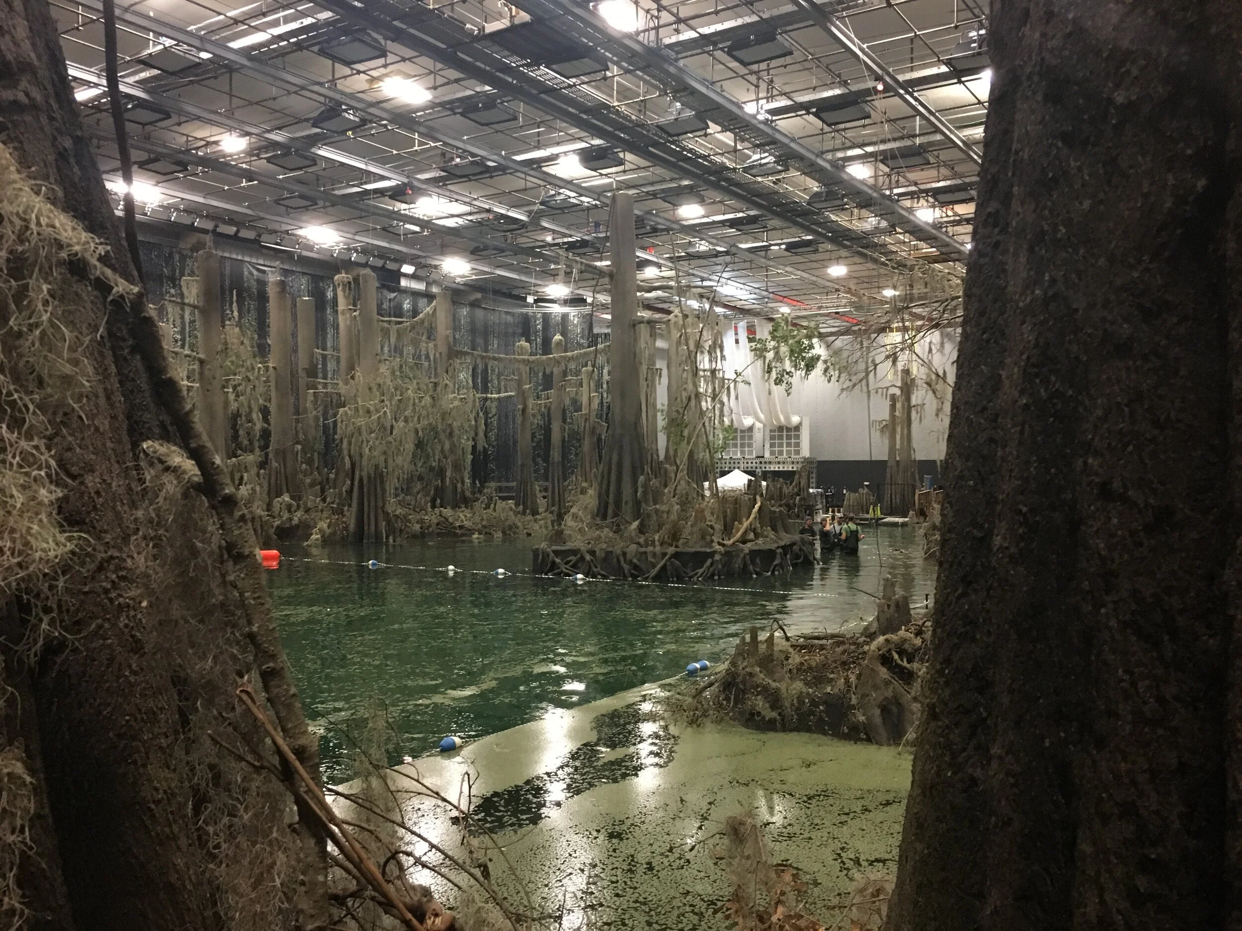 4 Swamp 3.JPG