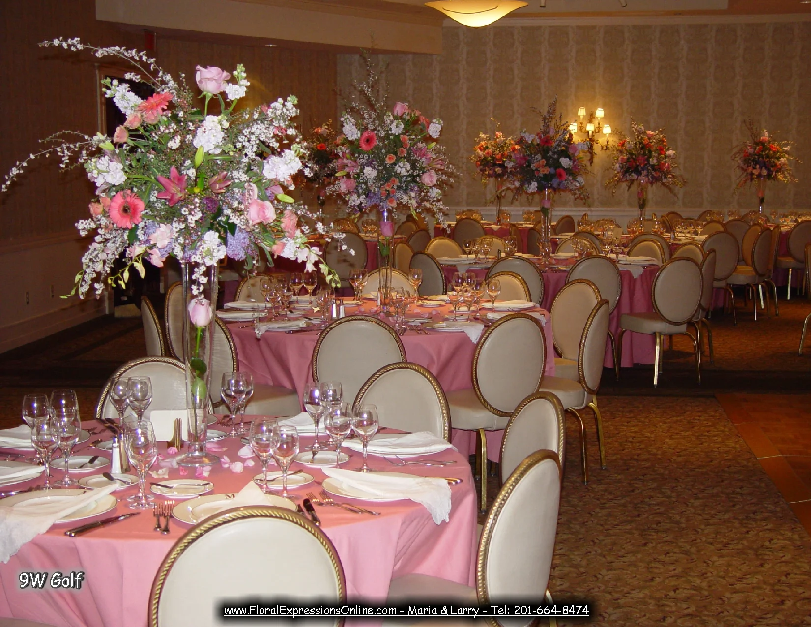 1-30 CpOSoftPink2.JPG