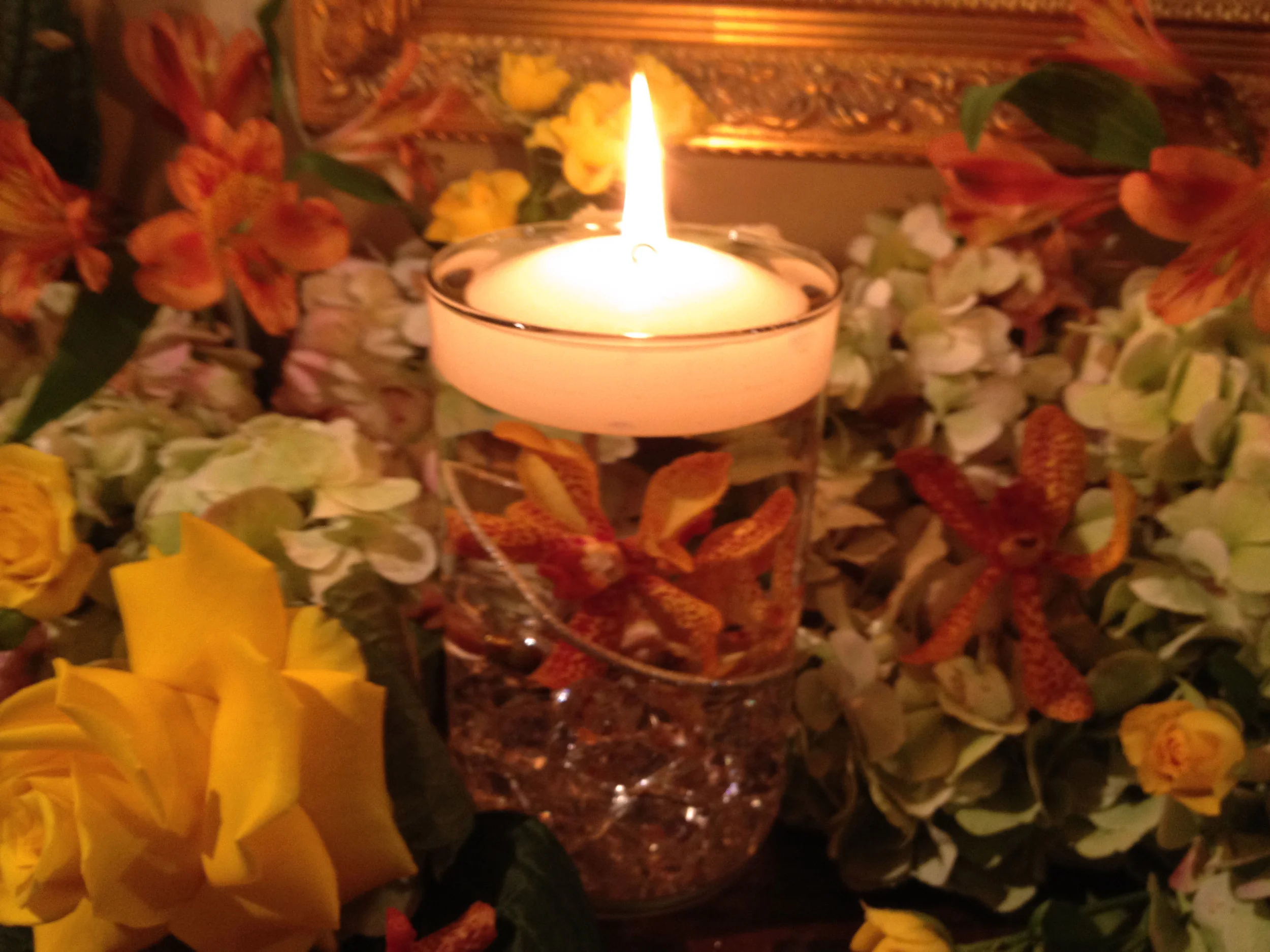 IMG_6663 B.jpg