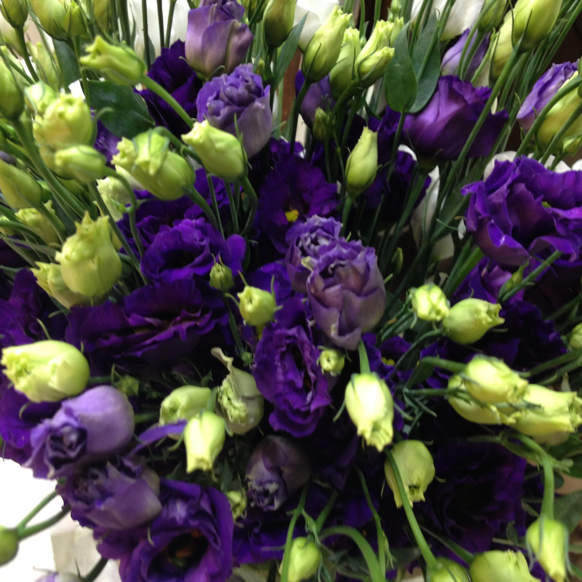 Wedding Florists Floral Expressions by Maria and Larry Journal