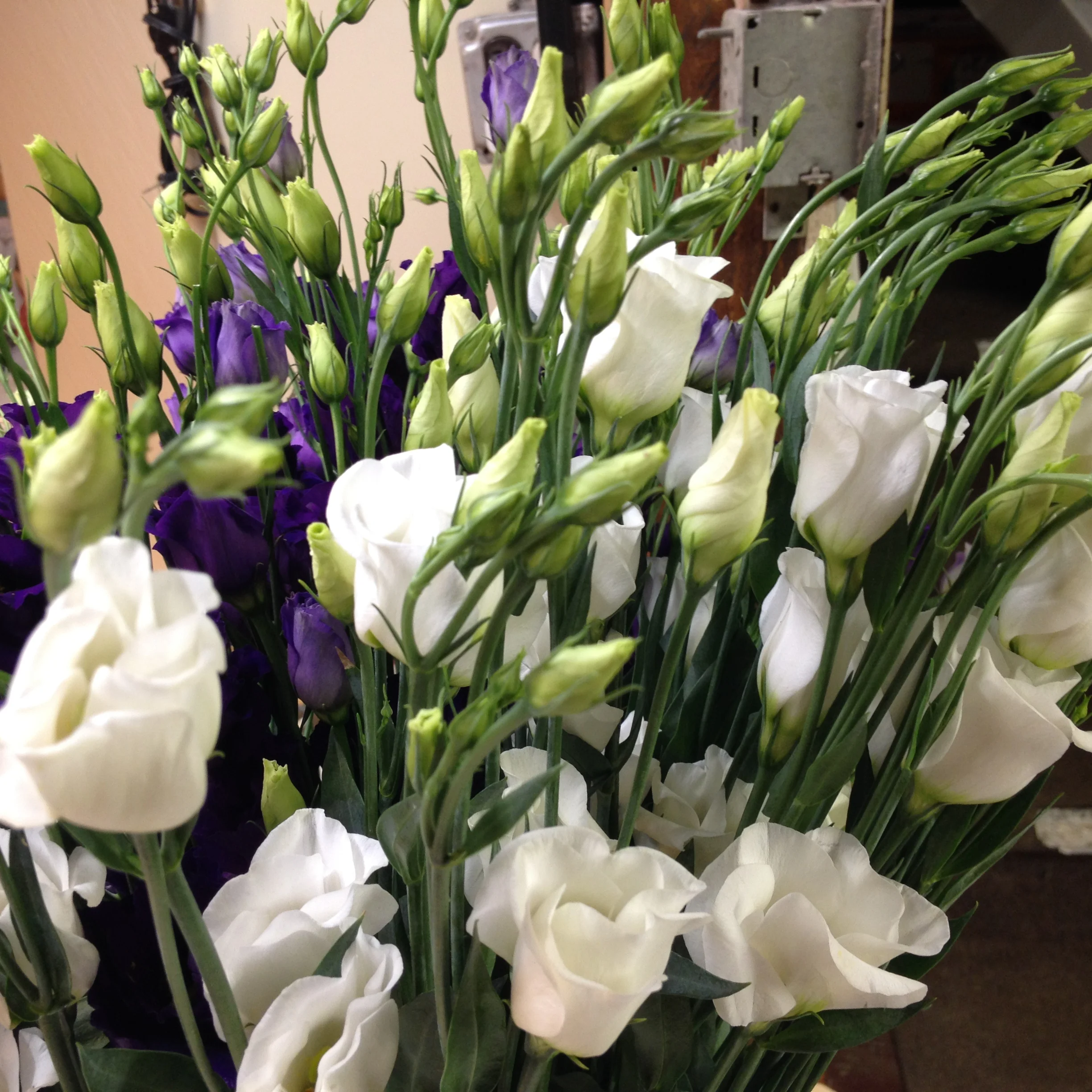 Wedding Florists Floral Expressions by Maria and Larry Journal