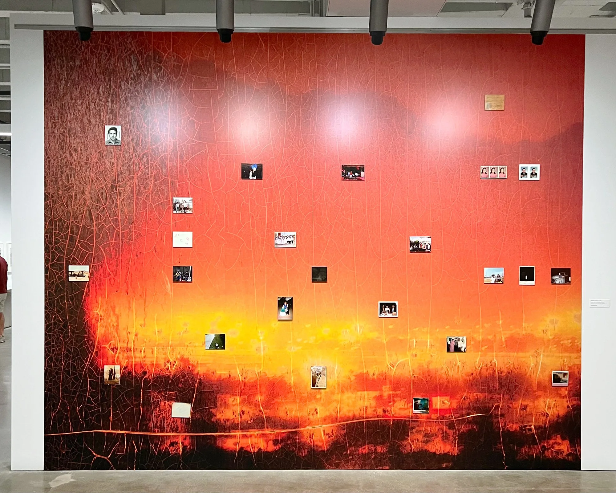  installation, adhesive wall vinyl with mounted photographs, 2026 
