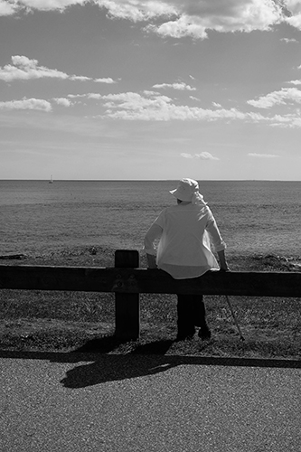 Contemplation ©Wendy Drexler Jamestown, RI