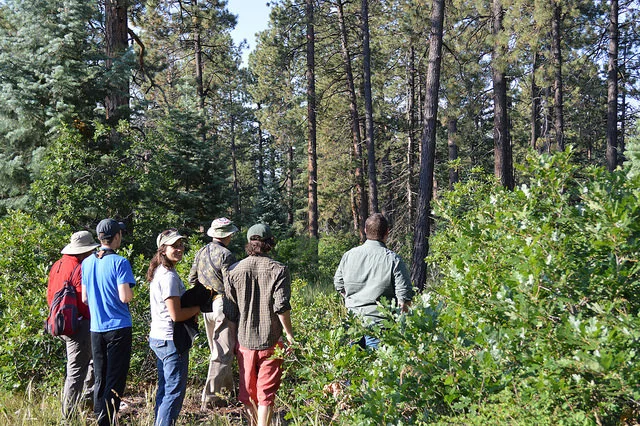 October 4th, 2014:  Forest Health Walking Tour and Celebratory BBQ (Past Event)