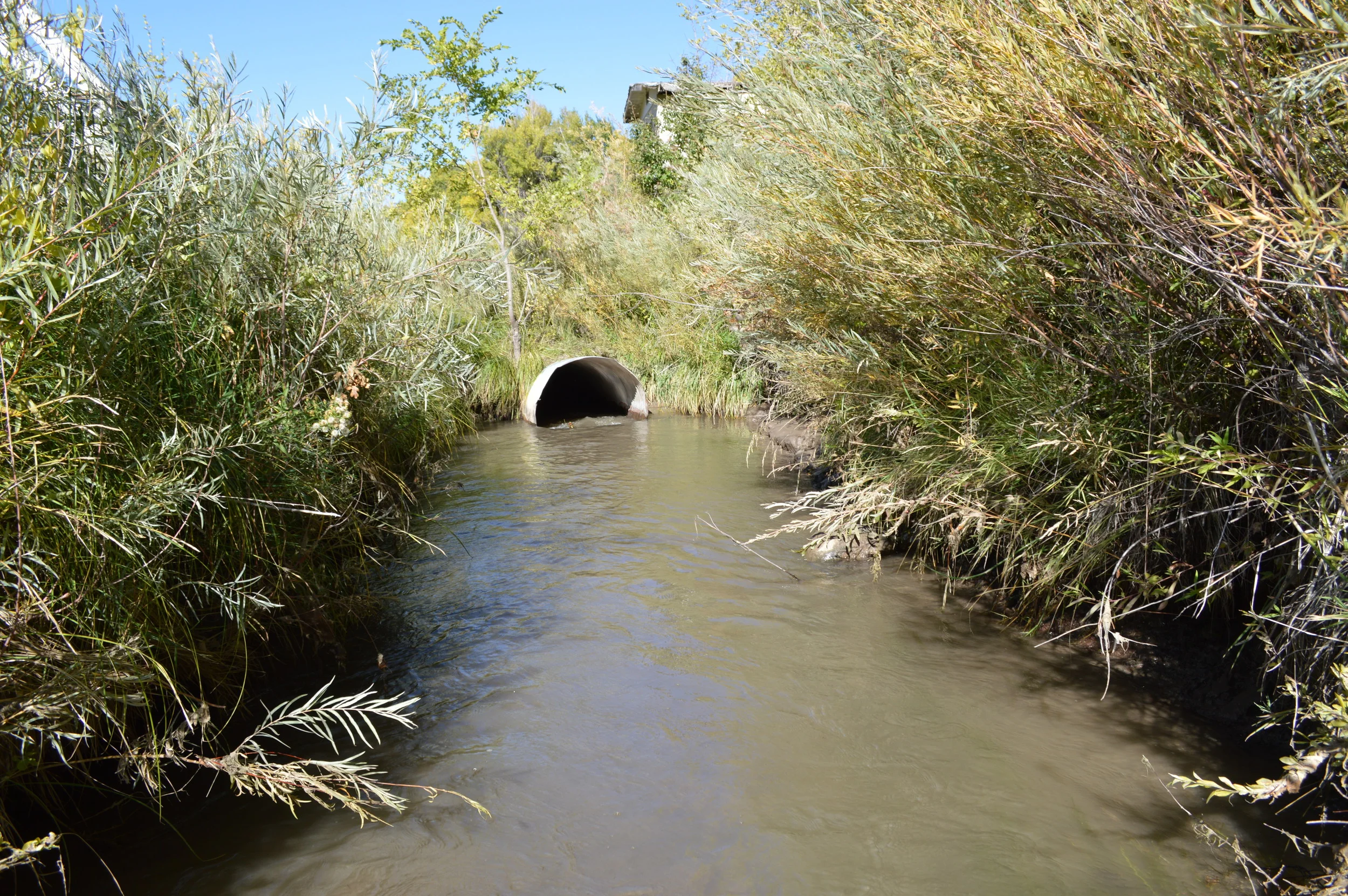River contamination related to human waste worries local leaders