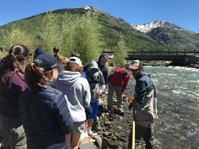 Stream Ecology for Kids