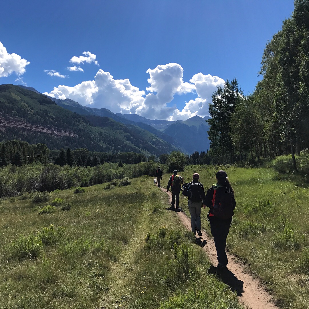 Flippers and crew walk through the Telluride Valley Floor on their way to collect vegetation data. (Copy)