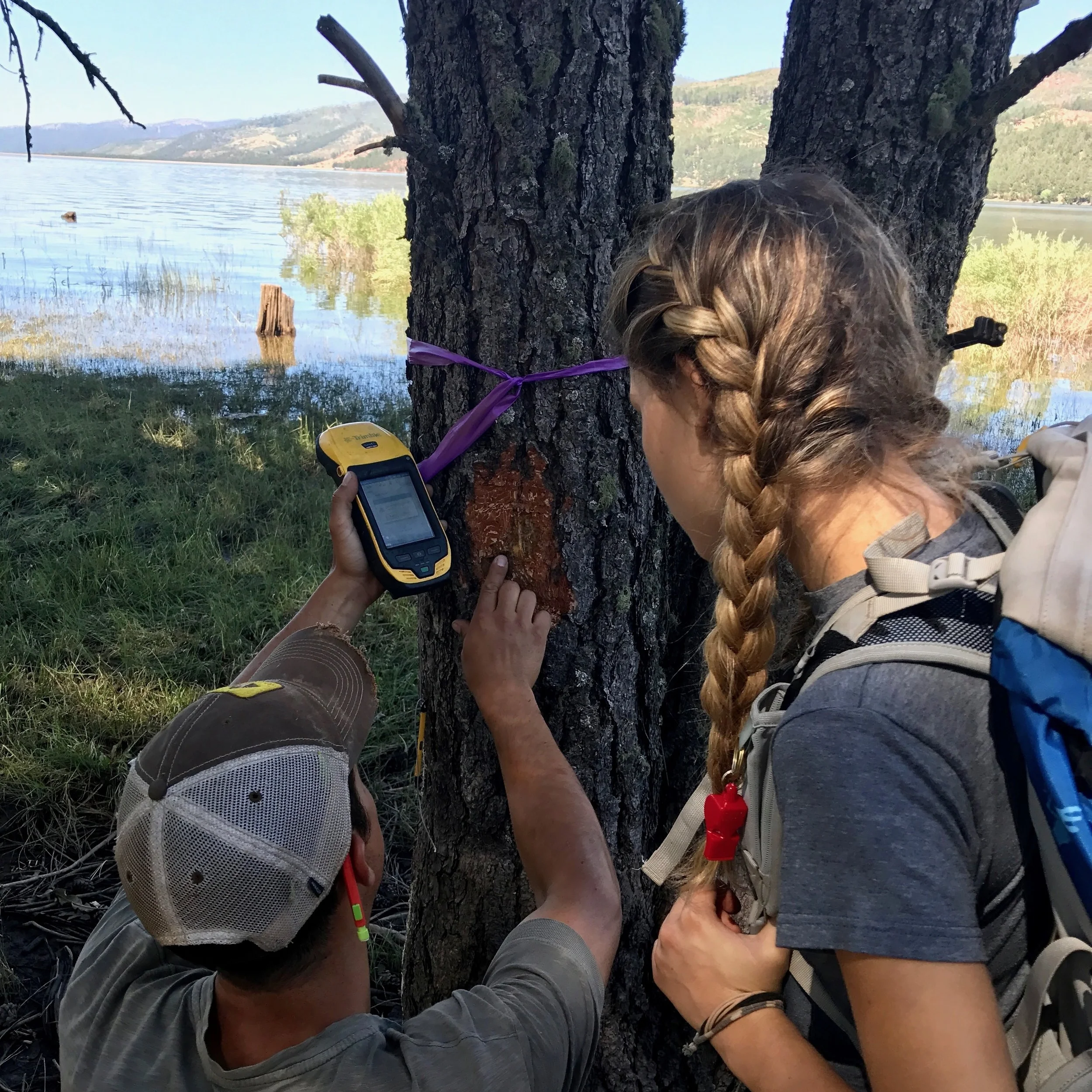 Forest Health Walk, Talk & Work Day