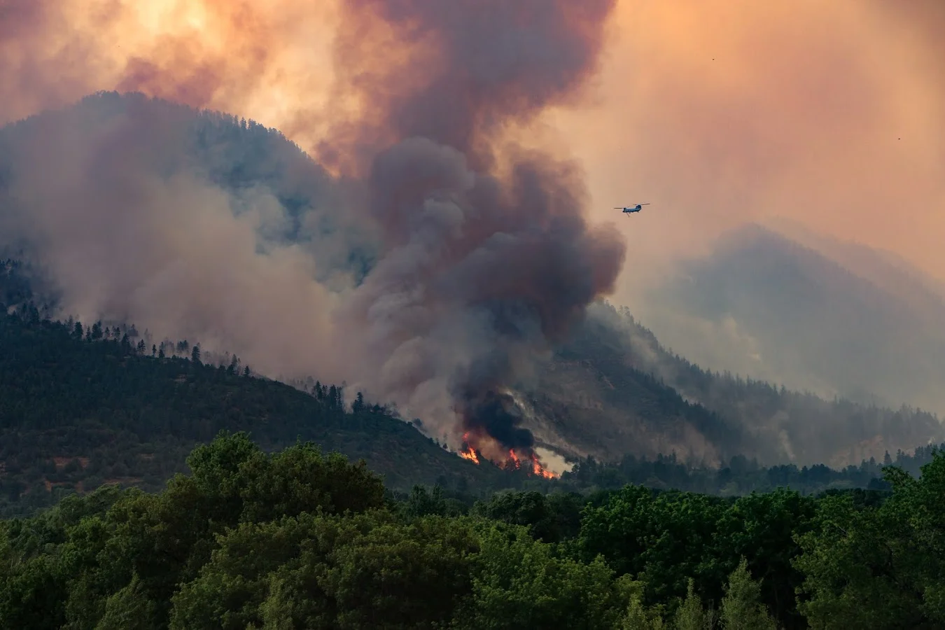 416 Fire. Photo by: Priscilla Sherman