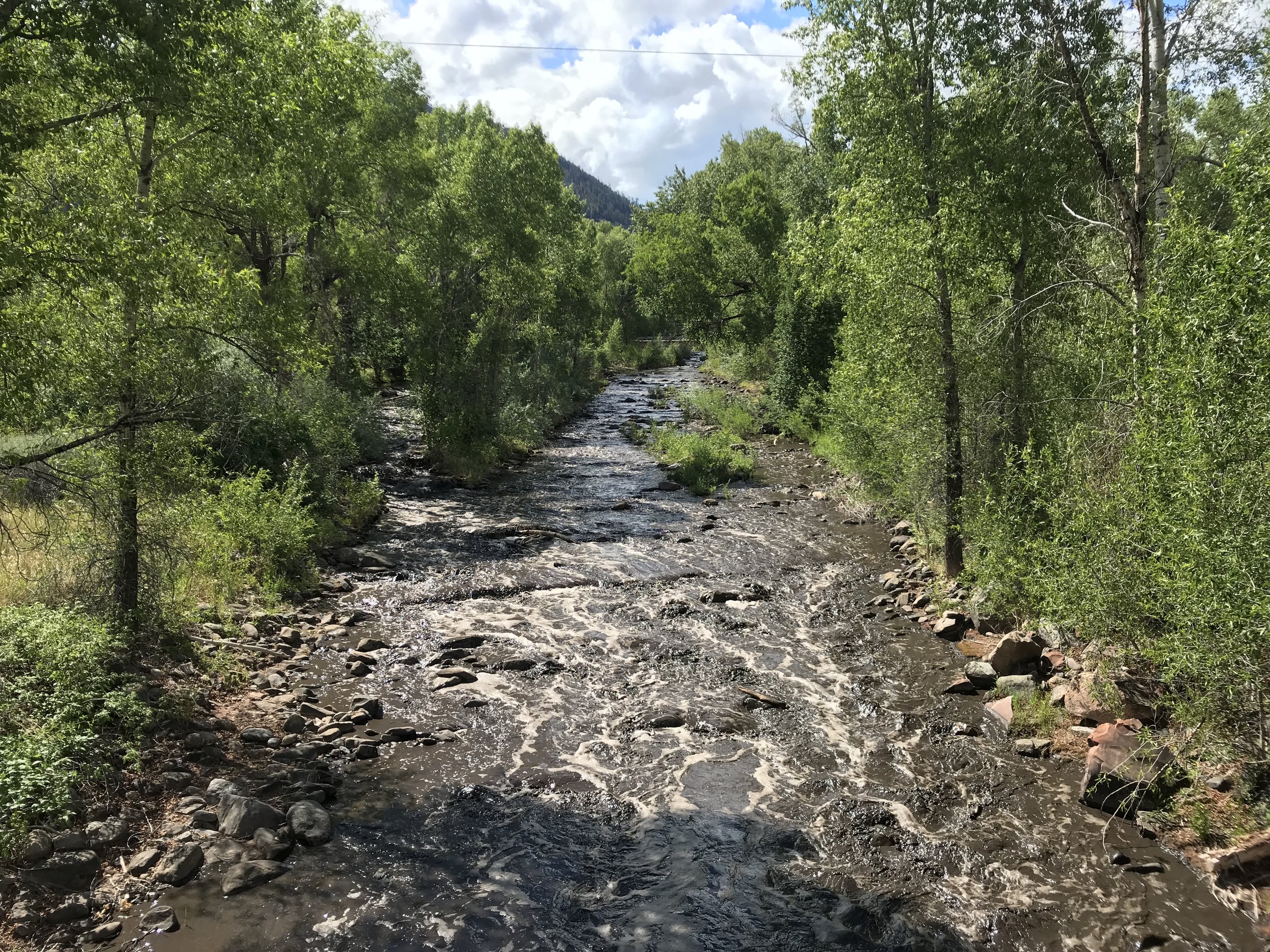 Hermosa Creek at Hwy 550 on Sunday, June 17 after weekend rains