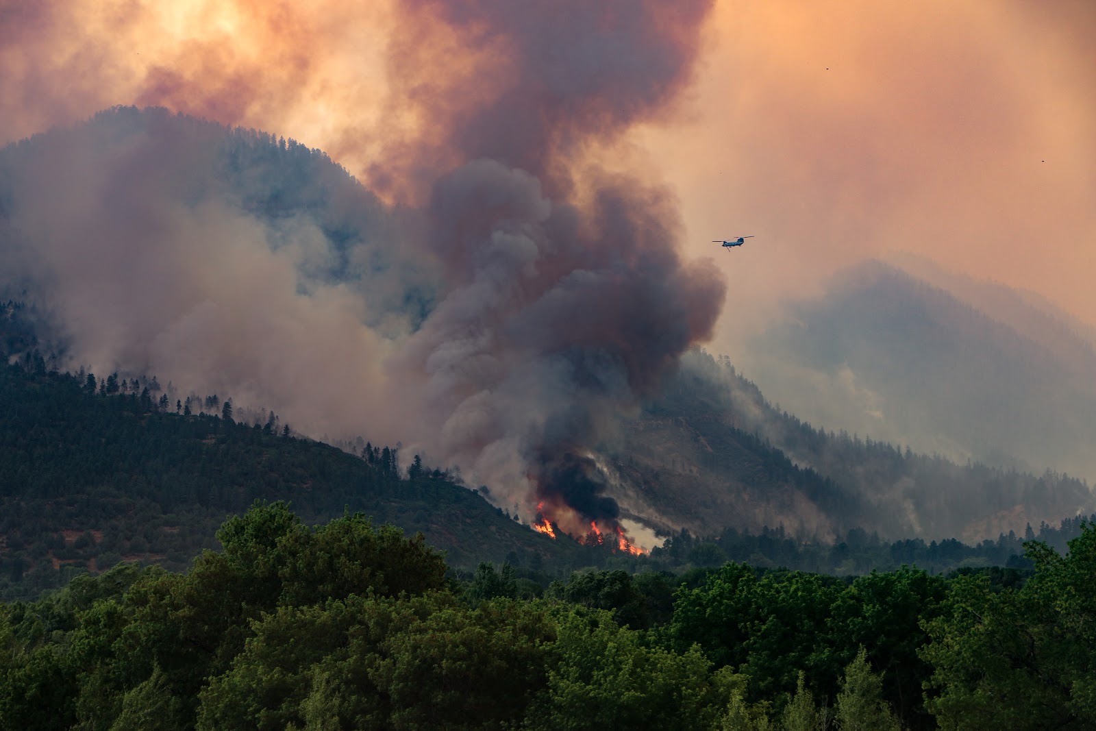 416 Fire, photo by Priscilla Sherman