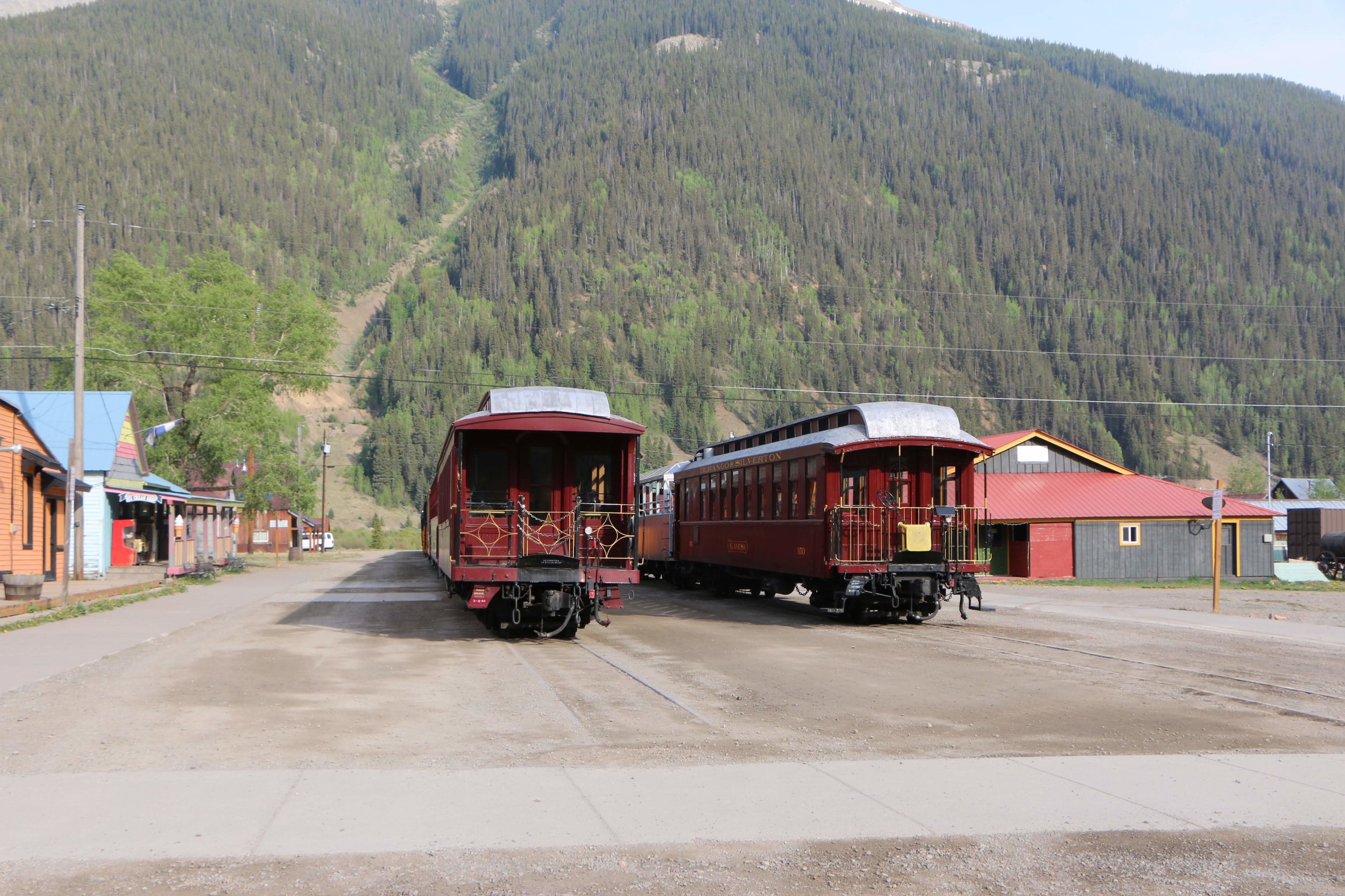 Trains parked indefinitely in Silverton, photo by Priscilla Sherman