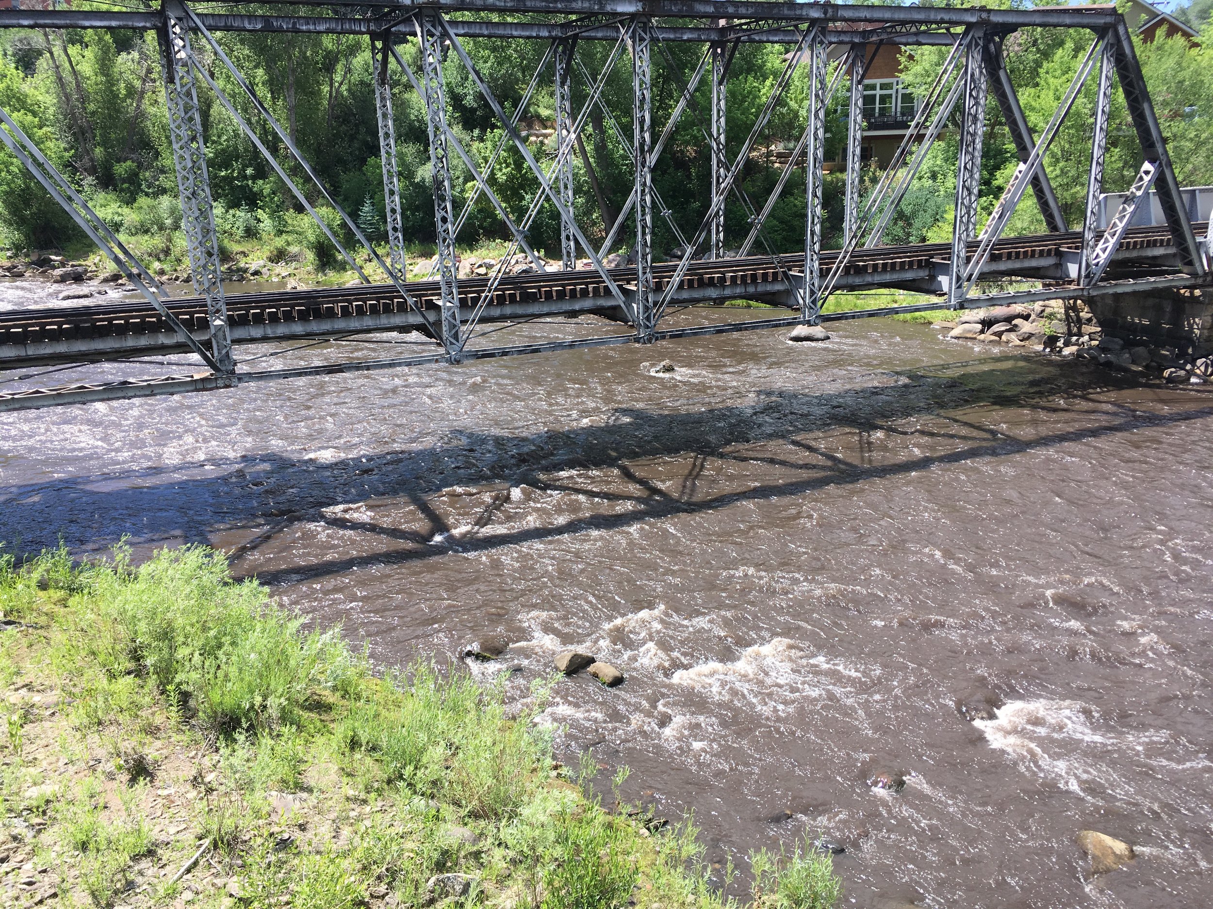 The Animas at Rotary Park appeared light black with ash on Monday, June 18th. 