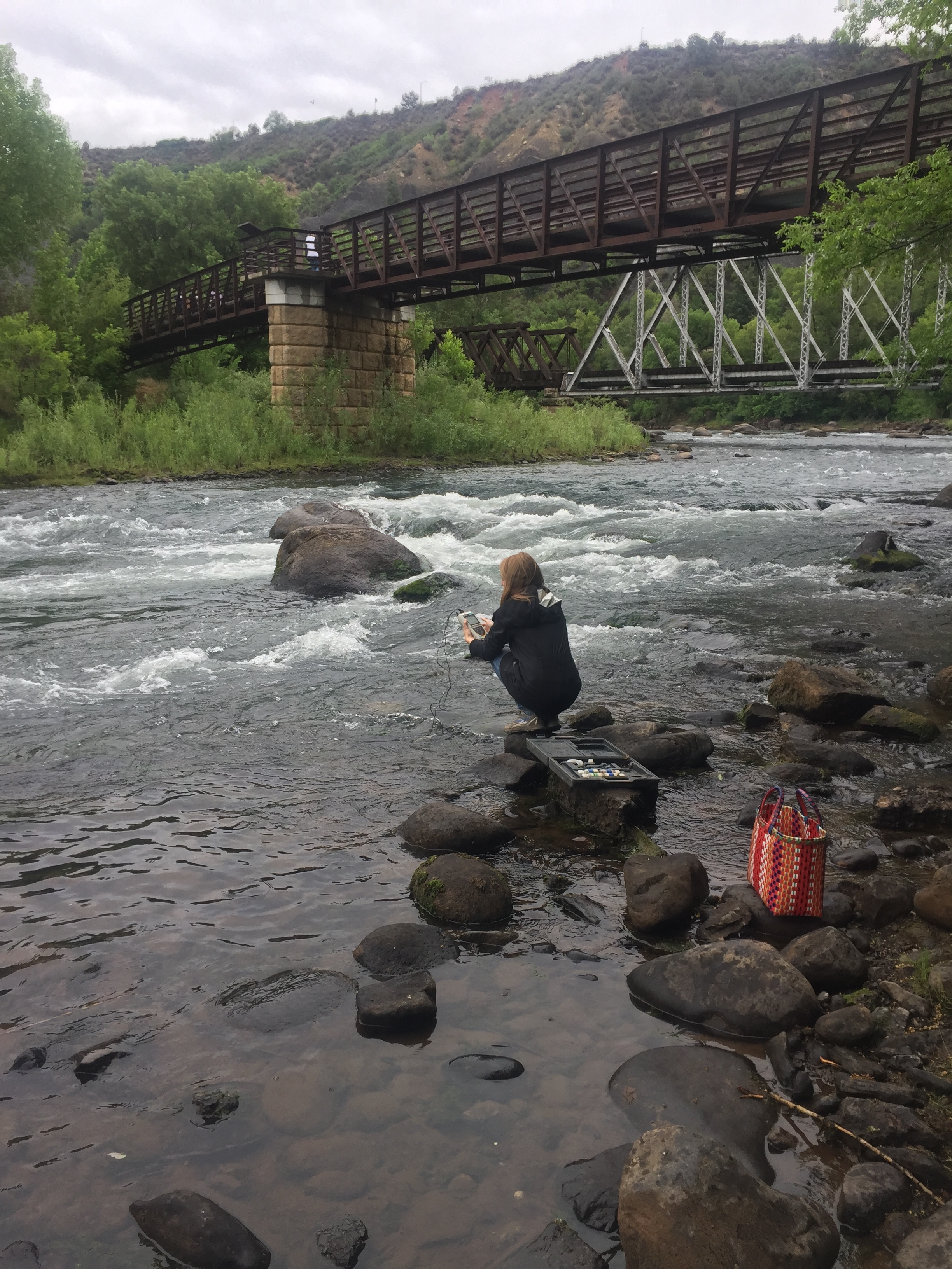 During weekend rains, Page Buono collected water samples along the Animas River on June 16th. 